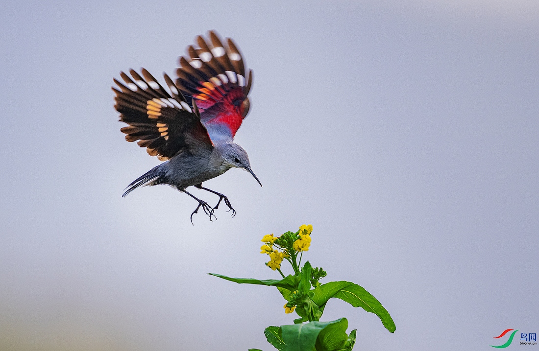 _ABC5728 ����.jpg