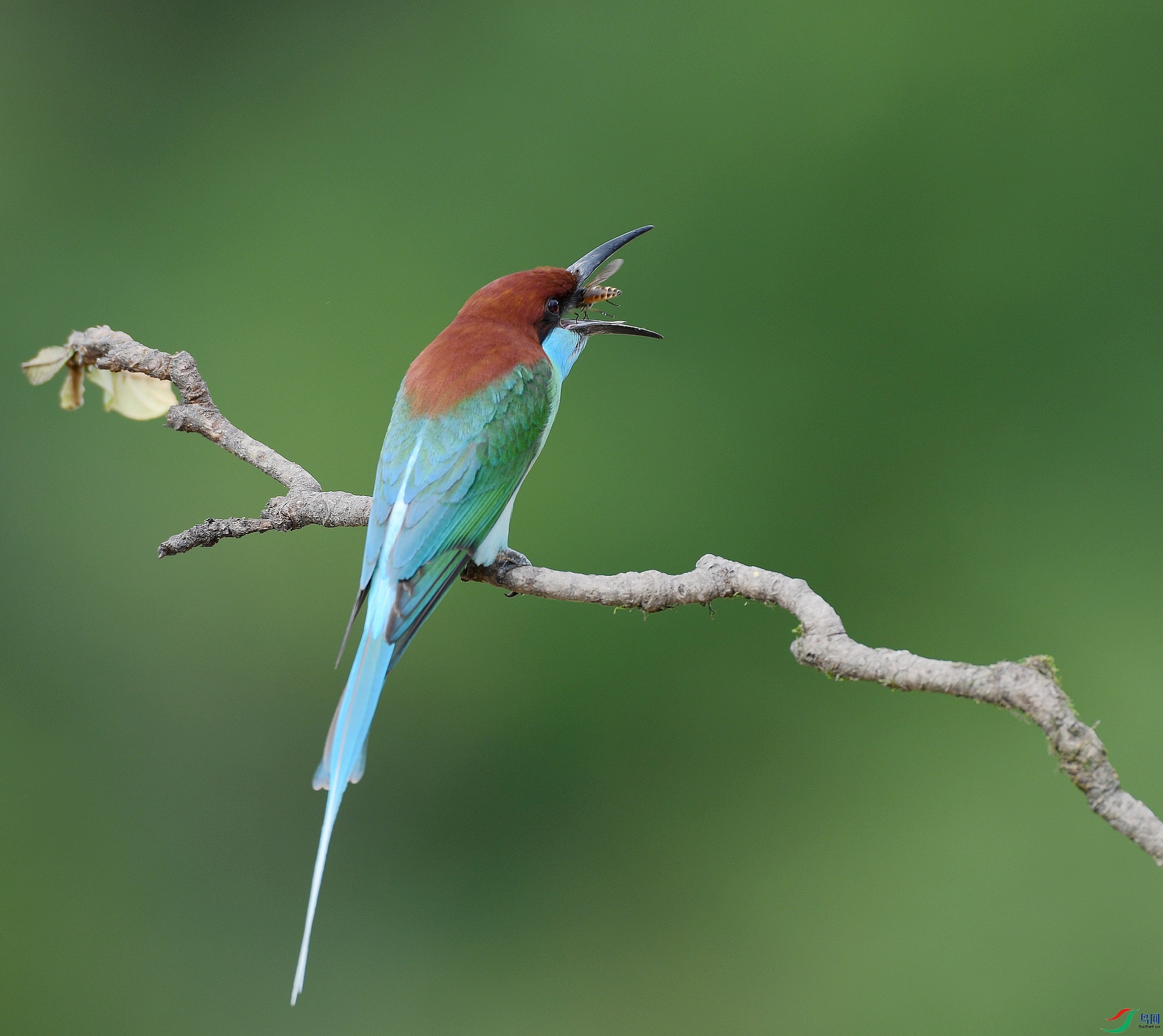 DSC_8912.jpg