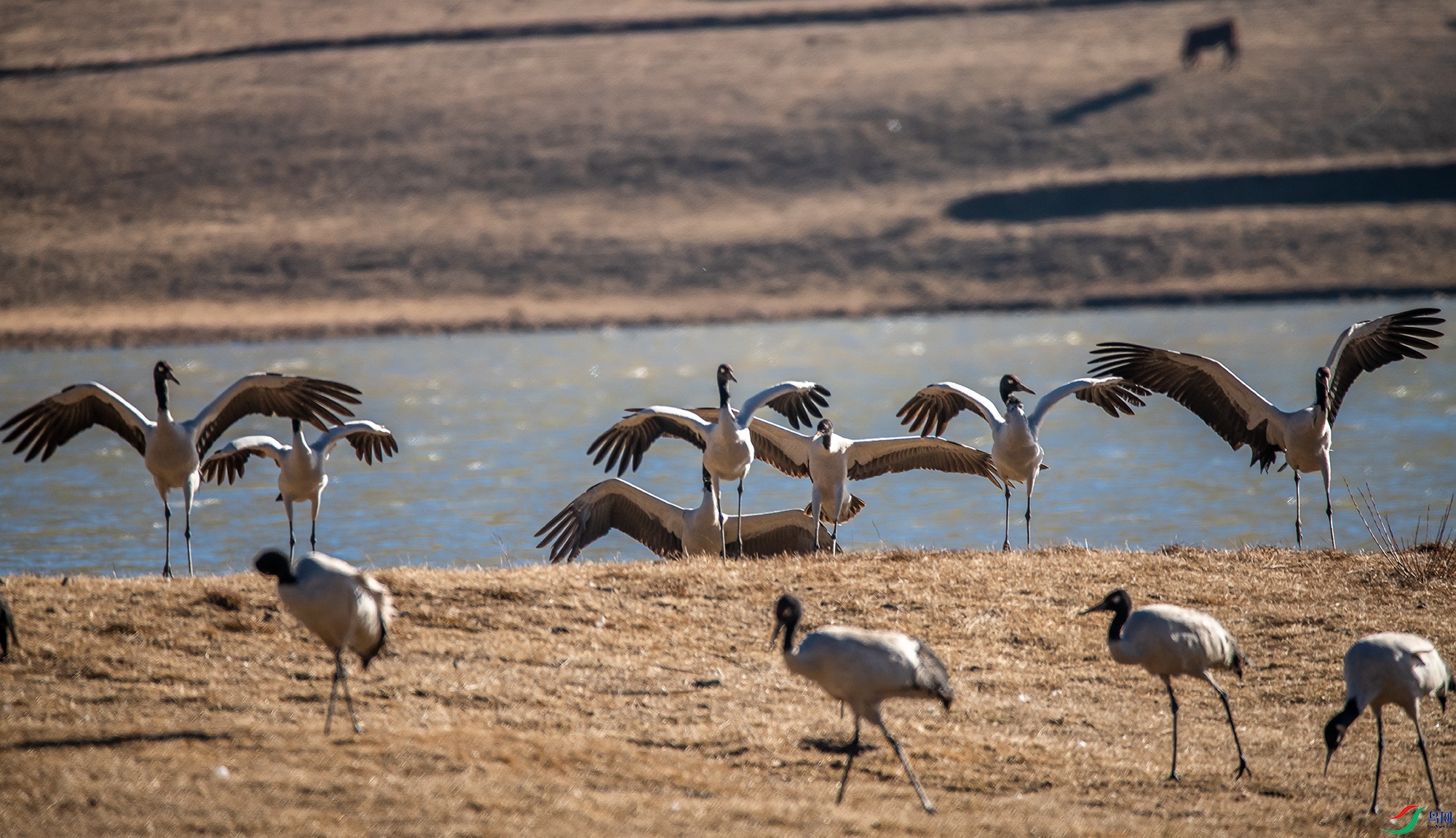 DSC_1848a.jpg