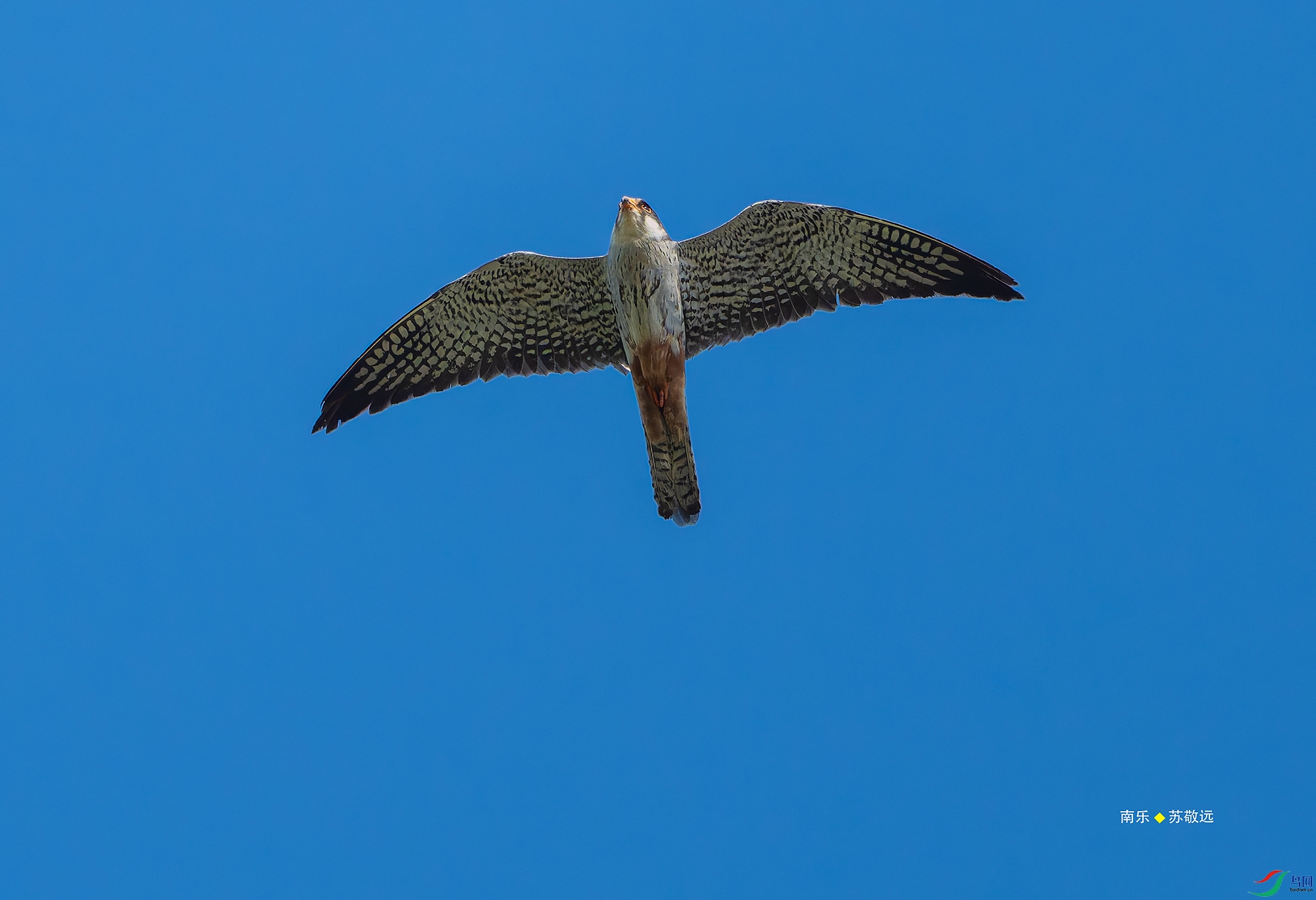 20250511-_DSC6443С.jpg