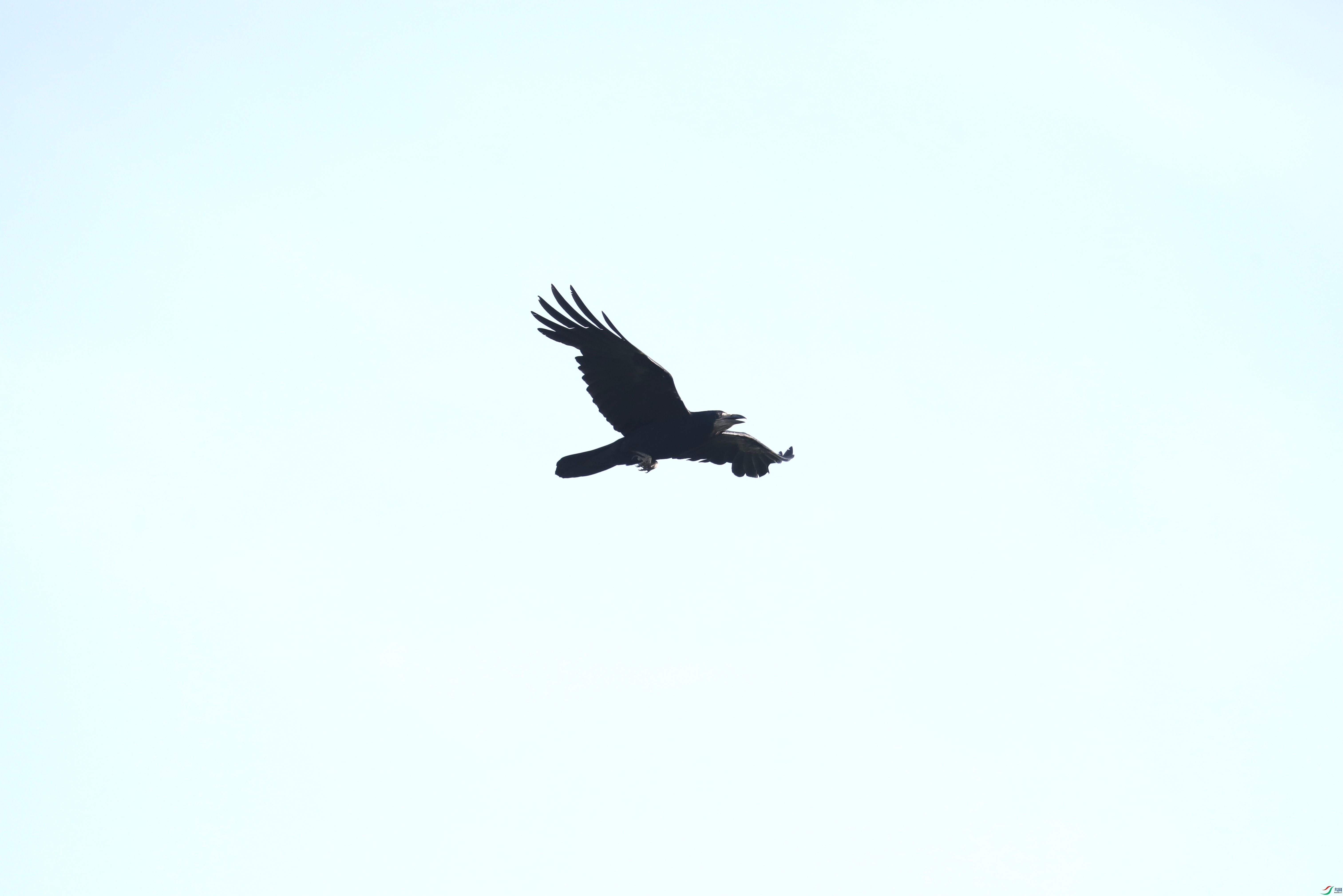 BL7A8400.JPG