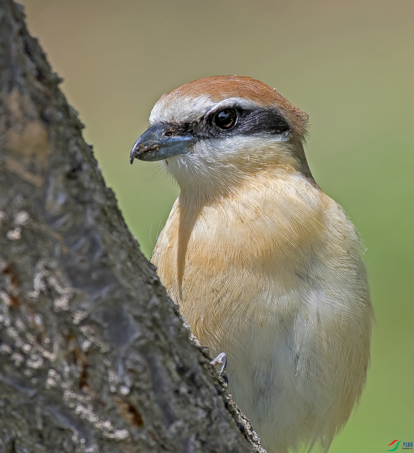 DSC_7839.jpg