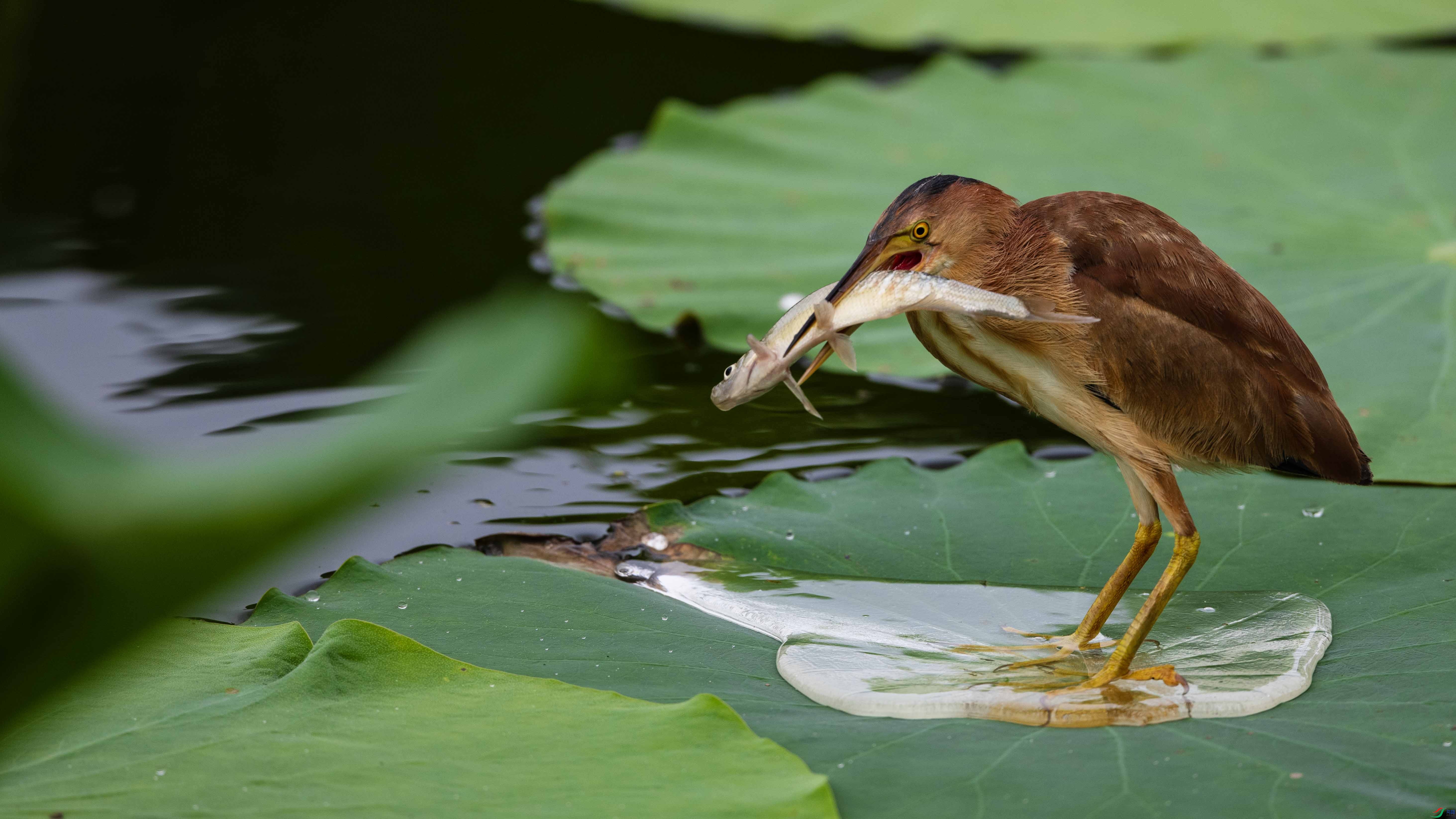 _LYF7982 ����.jpg