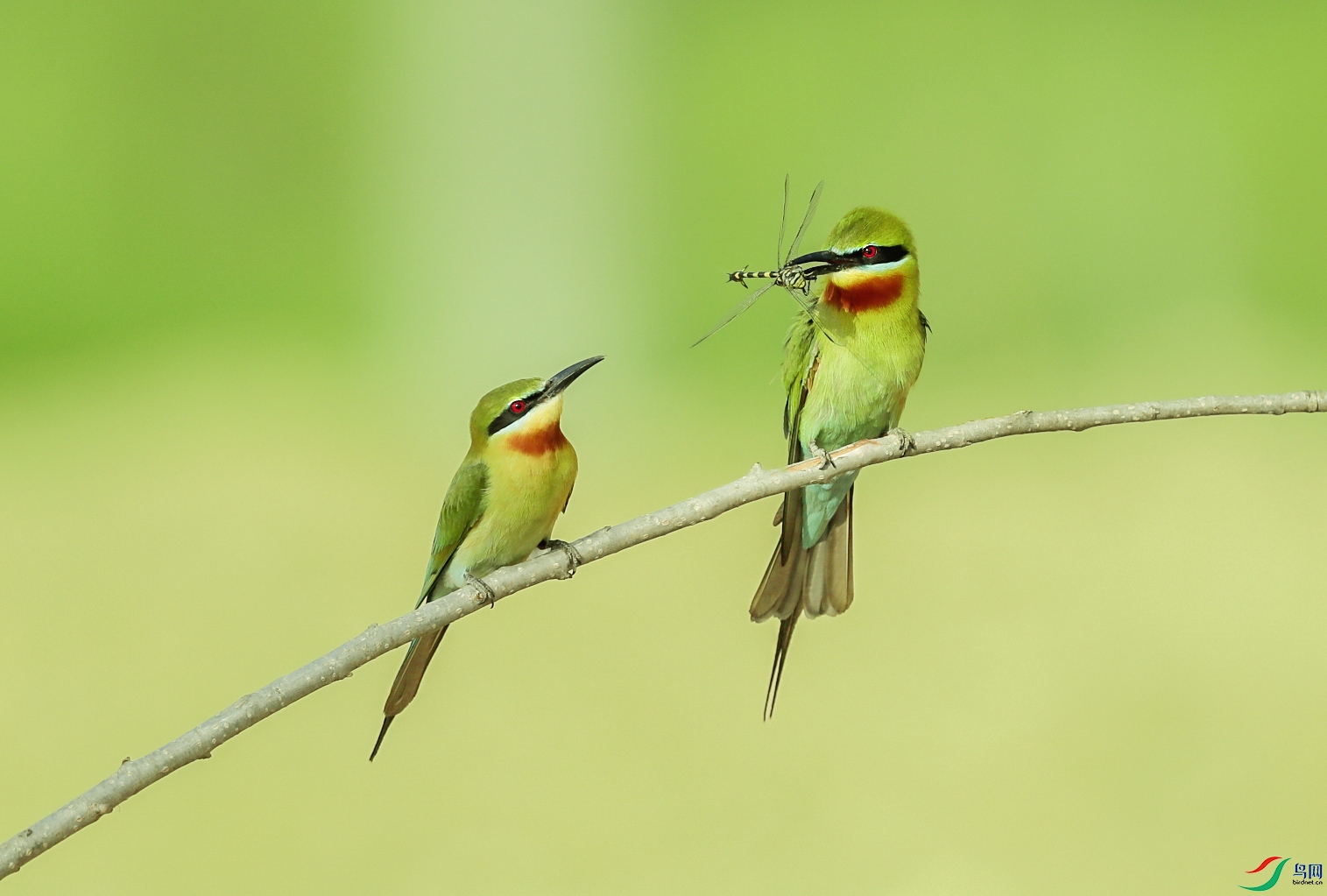 _U4I0990 ���� 2.jpg