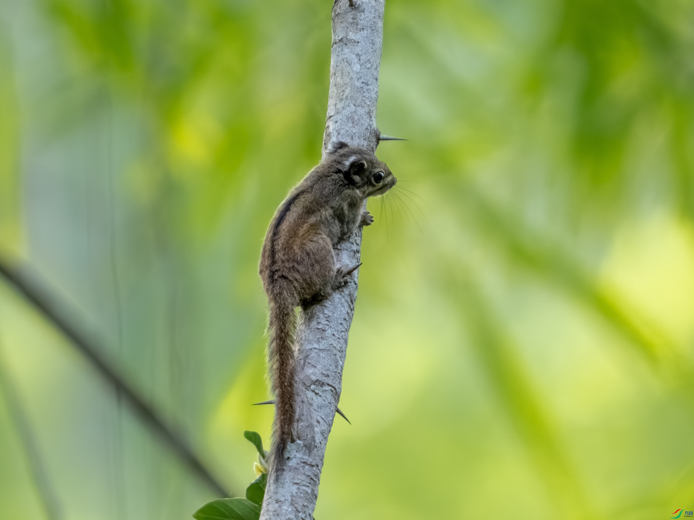 DSC00192-1.jpg