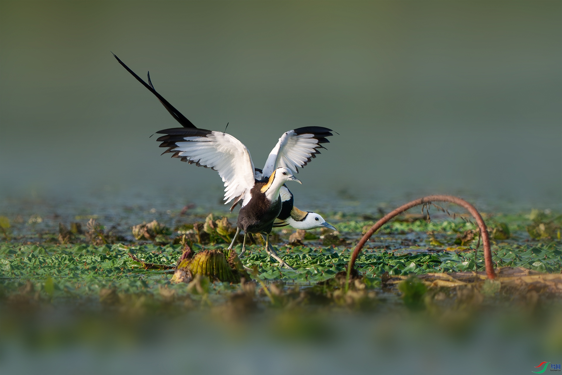 _DSC2128 1����С.jpg