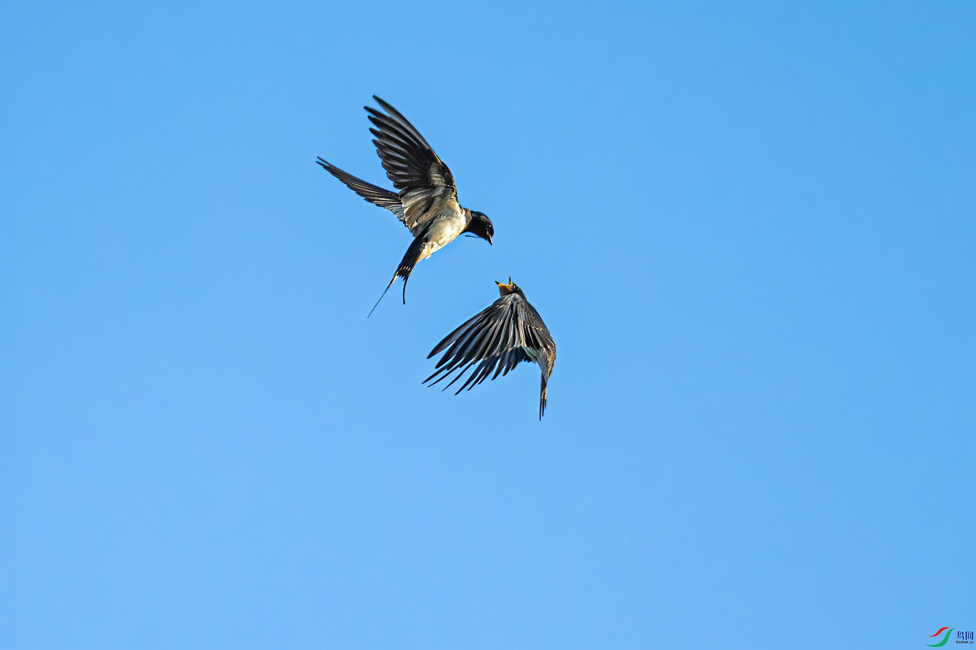 _DSC0283aa11bb22.jpg