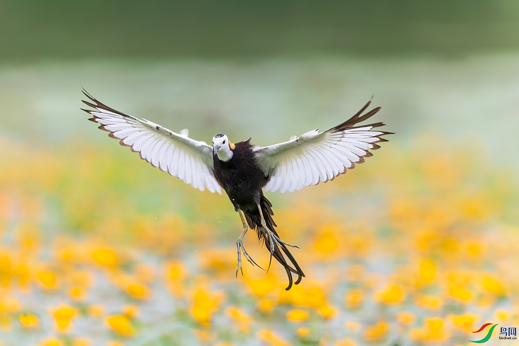 hnxyhbR5250612 (3625)_DxO.jpg