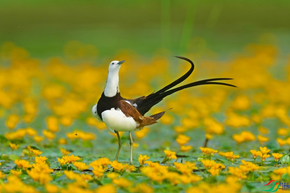 �������ѡ�����ױ�ݣ��ٻ���Ӱʦ������30 ��ƽ.png