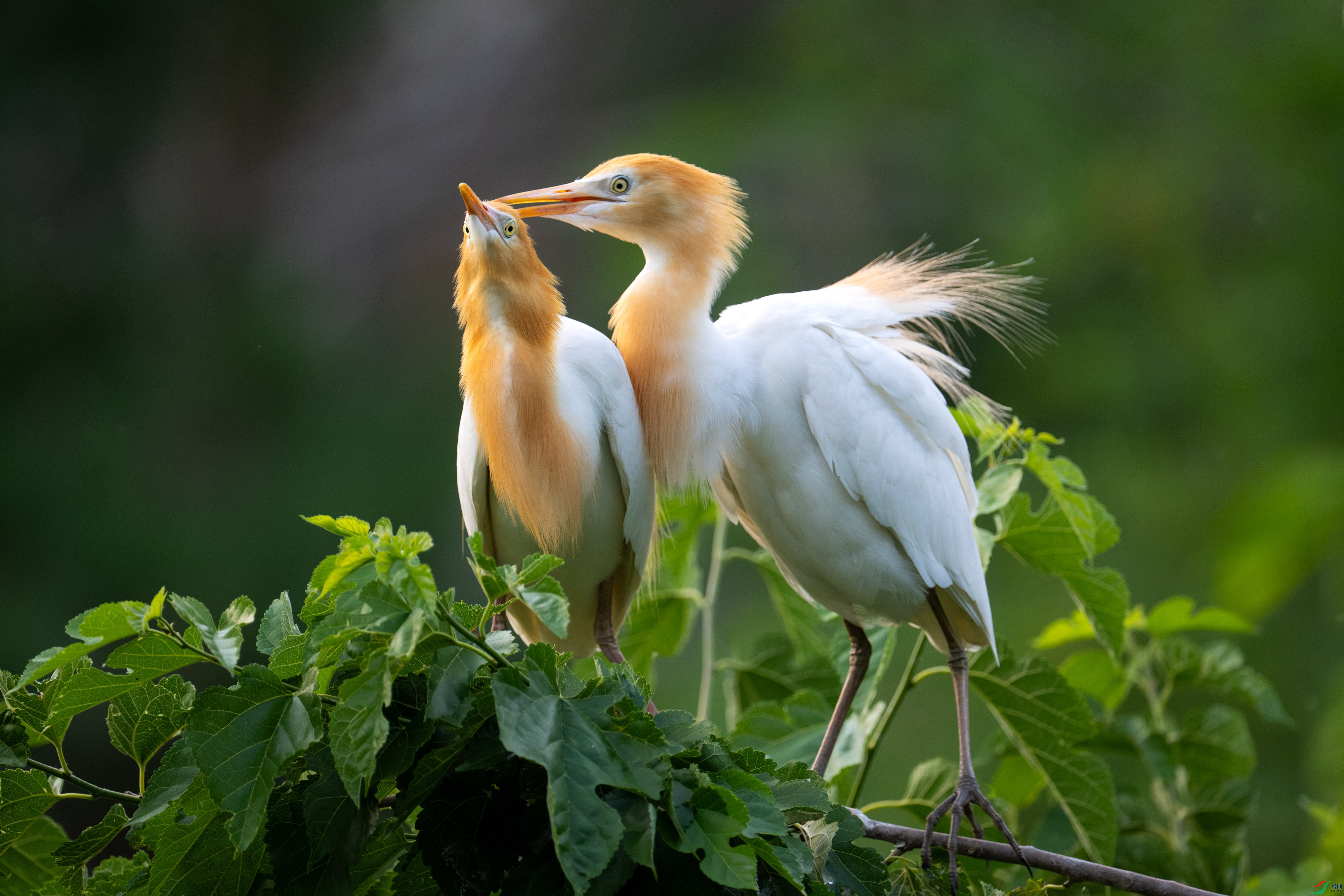 DSC_9063.jpg