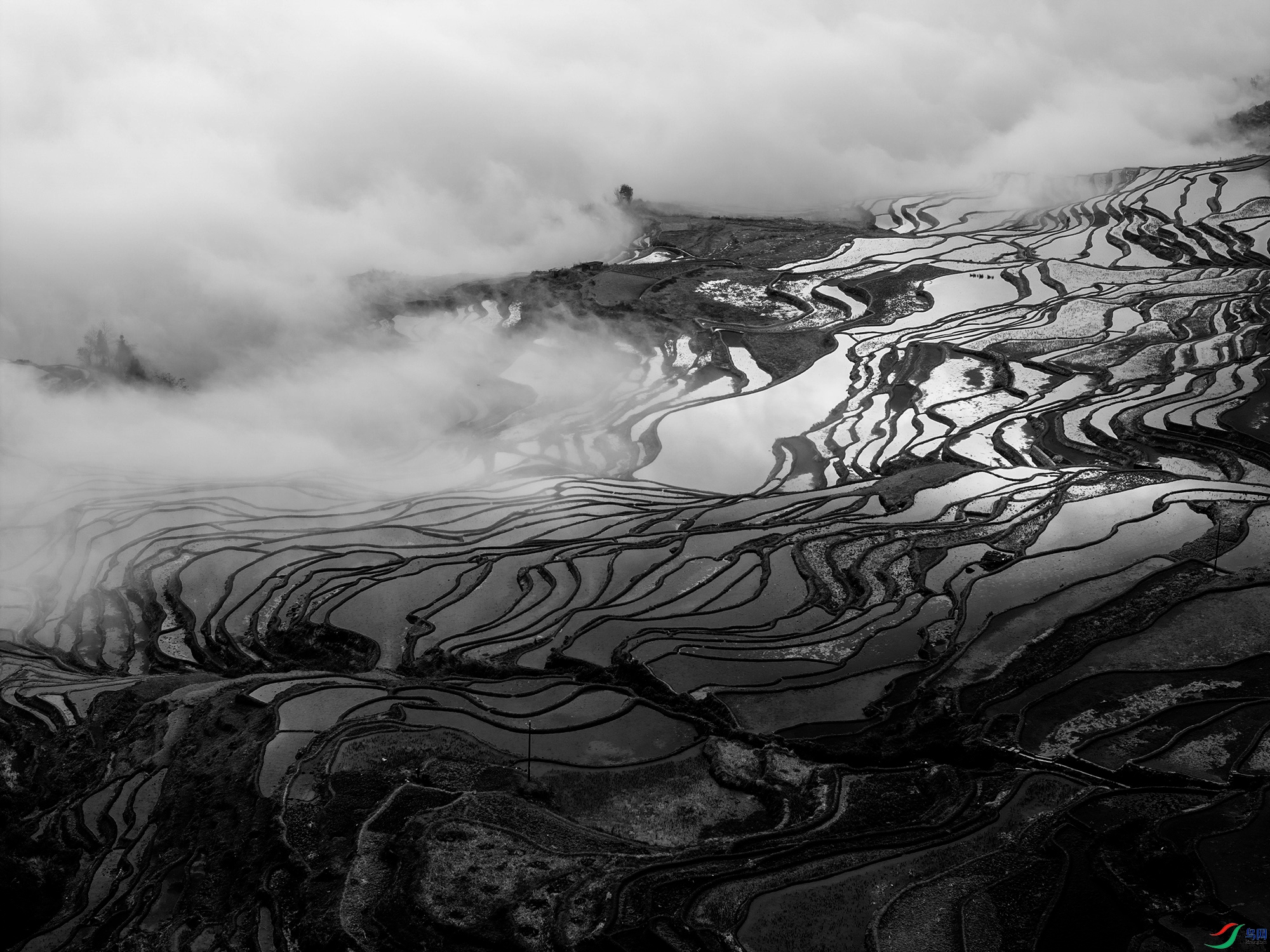 DJI_20250215081322_0045_D ����1111 ����.jpg