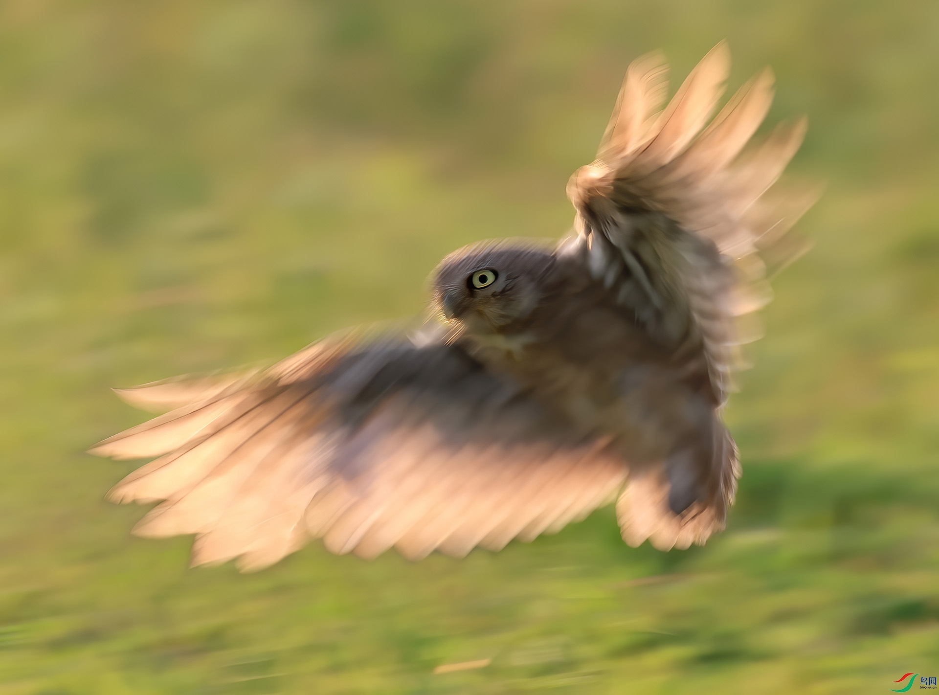 ������������--����С�^��Ӱ E8A6043----333.jpg