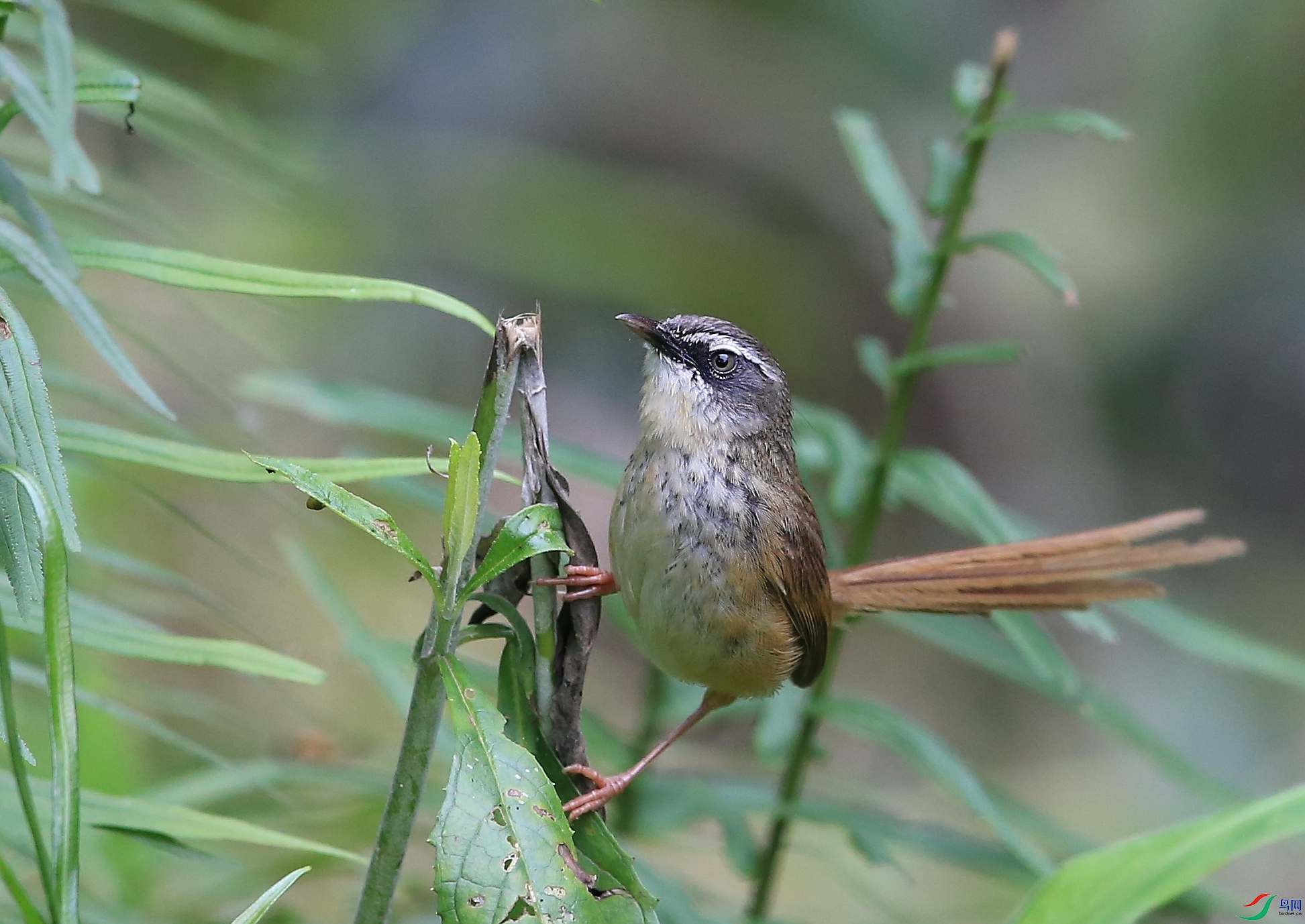 IMGL2567�� ��.JPG