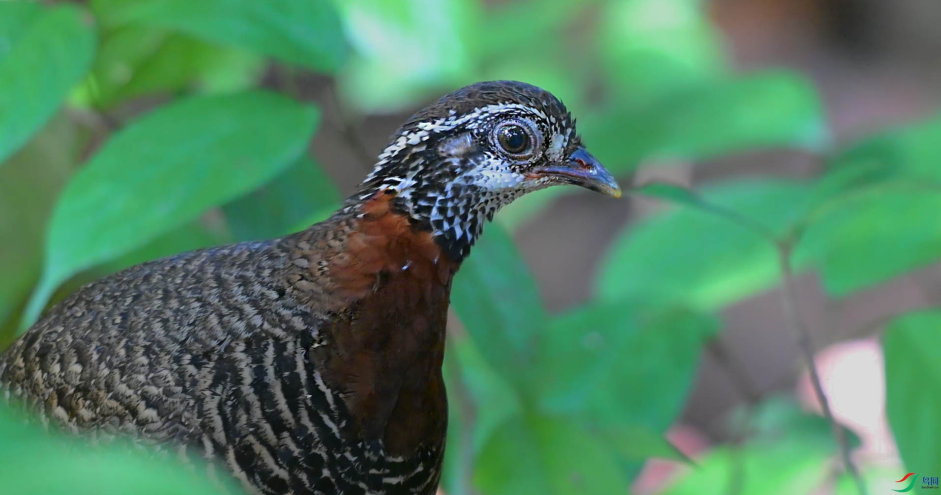 {3526232B-35B5-46E8-88F6-484E043BDF5D} ����.jpg