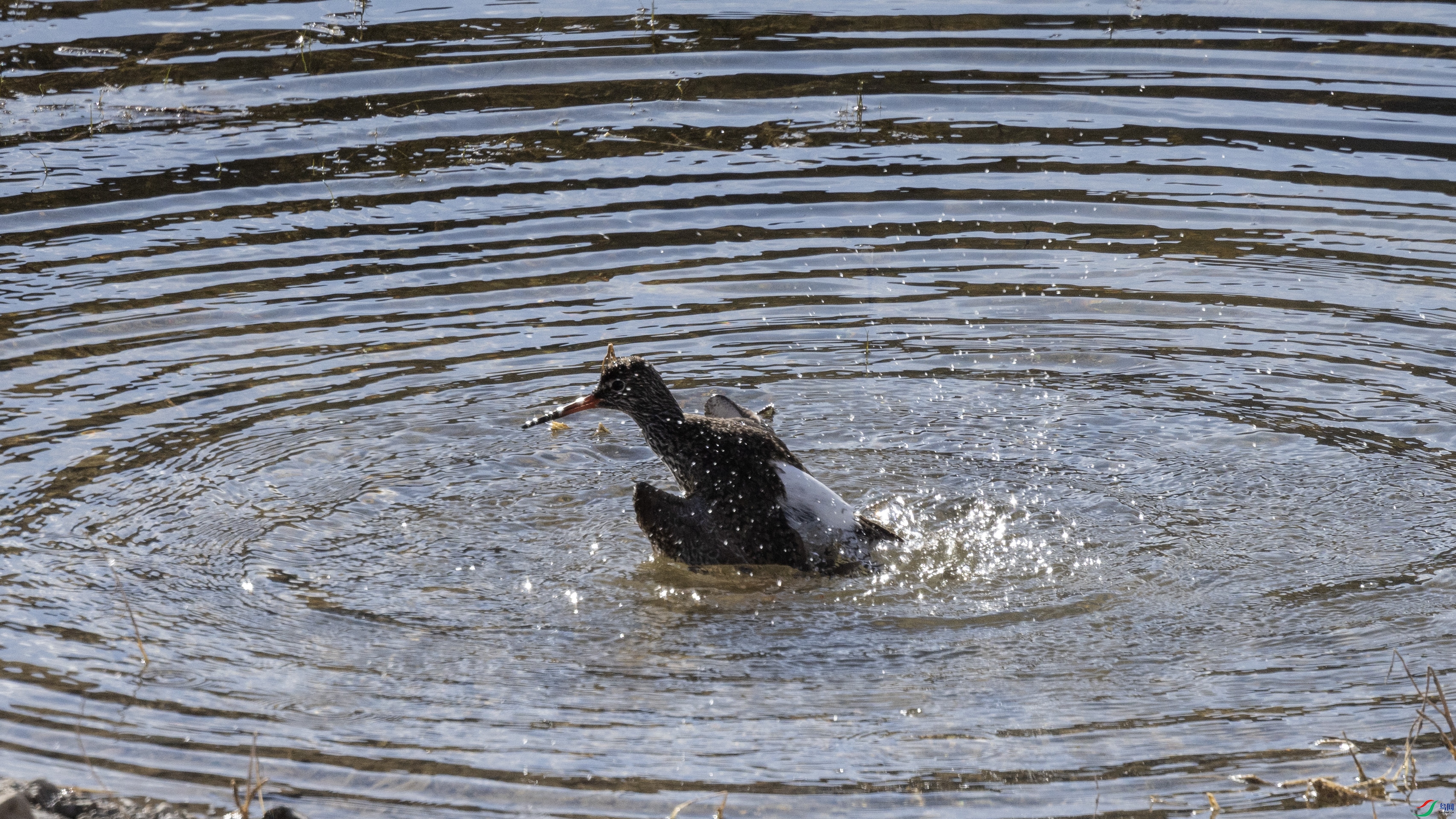 7X5A0139 ����.jpg