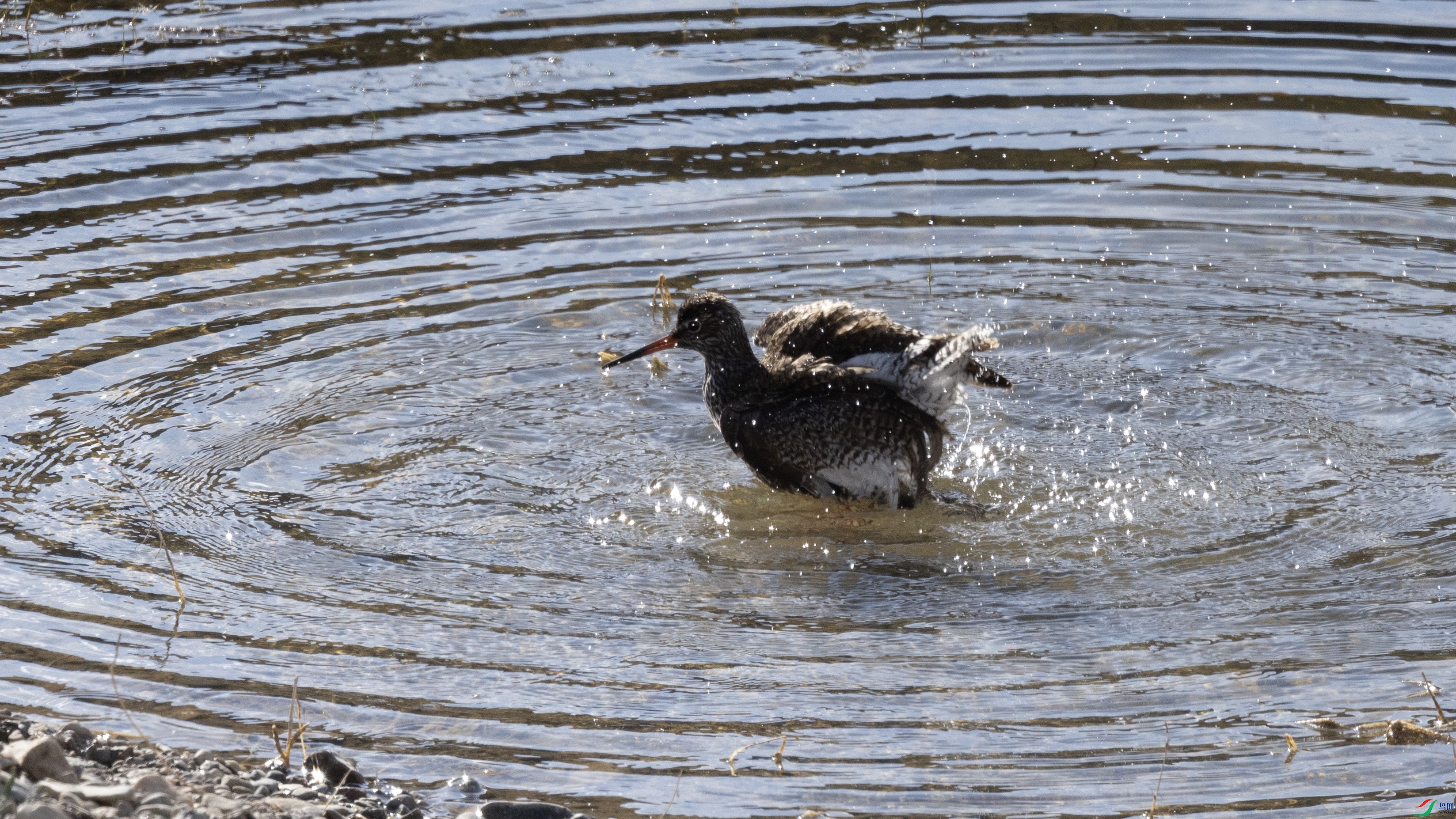 7X5A0144 ����.jpg