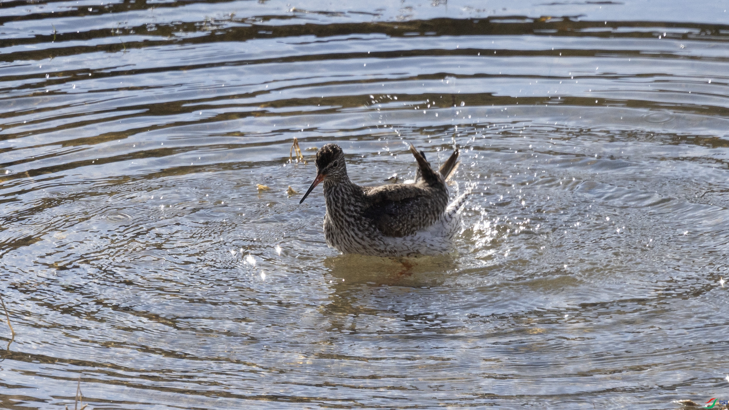 7X5A0145 ����.jpg