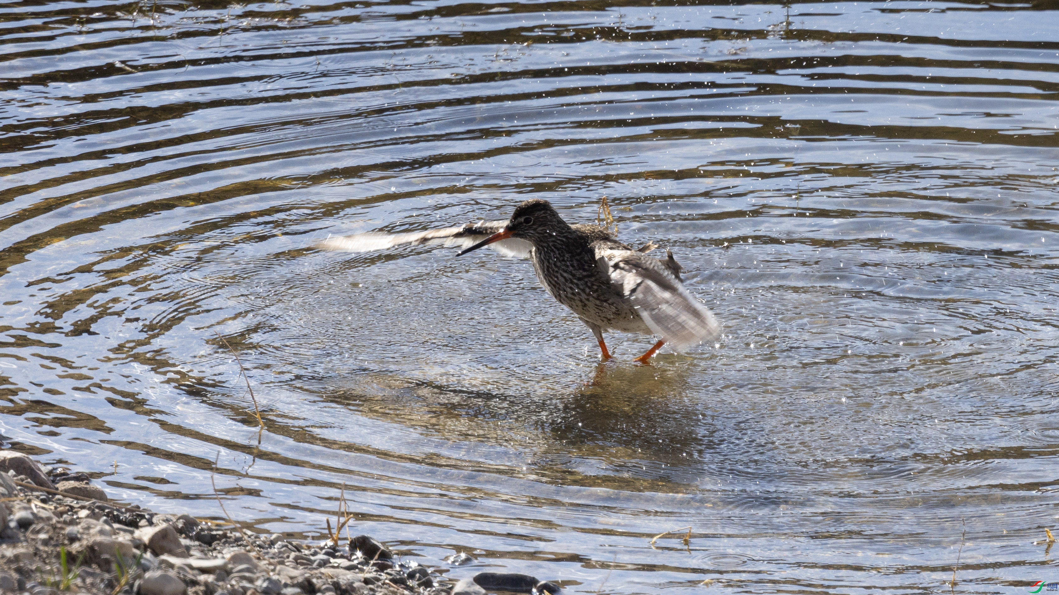 7X5A0147 ����.jpg