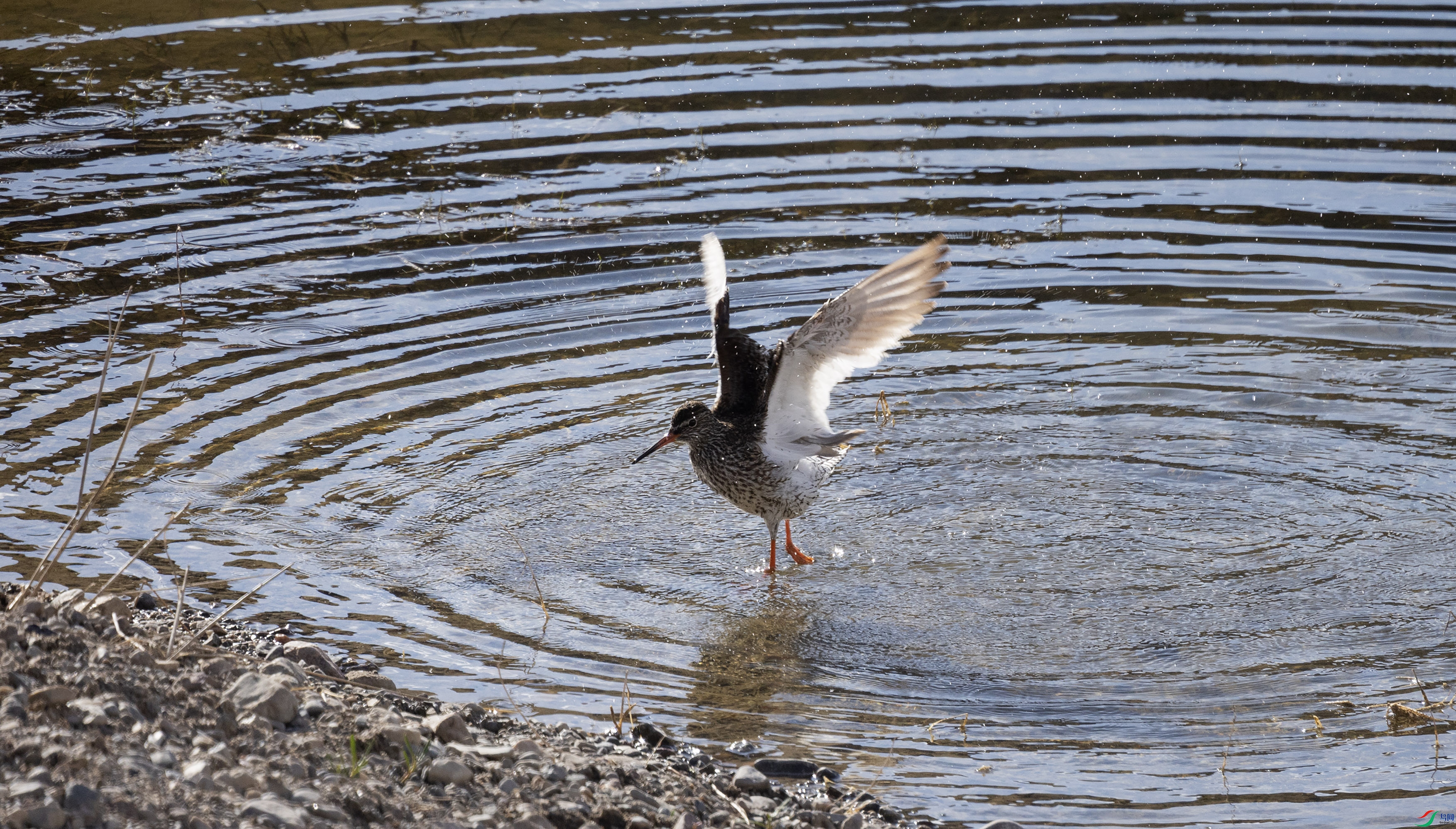 7X5A0148 ����.jpg