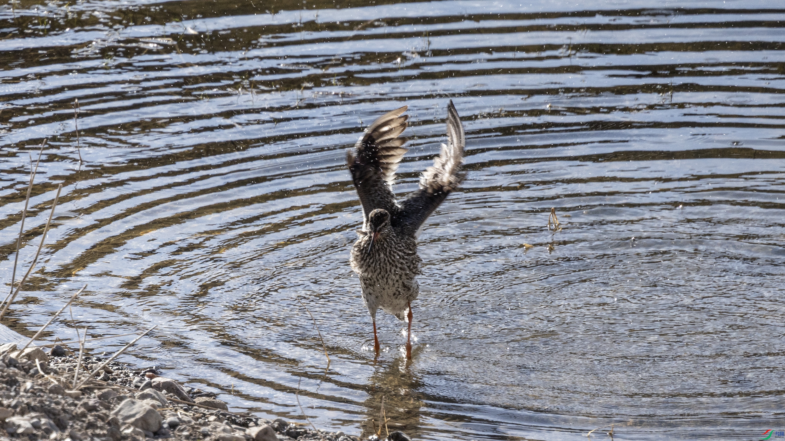 7X5A0149 ����.jpg