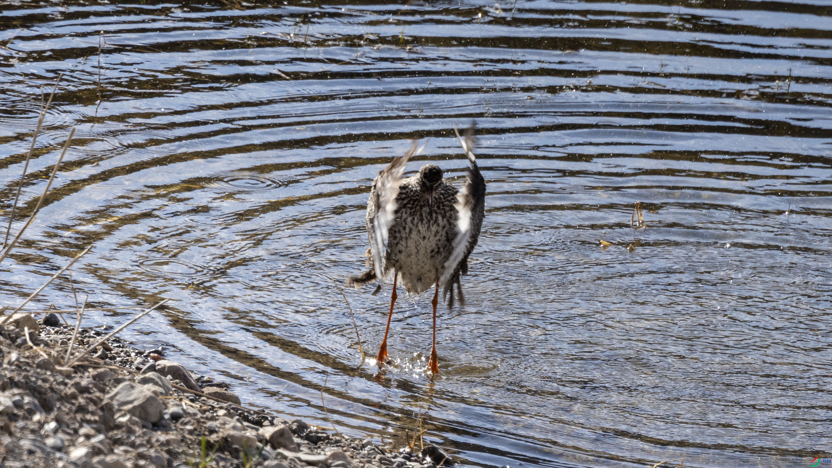 7X5A0150 ����.jpg