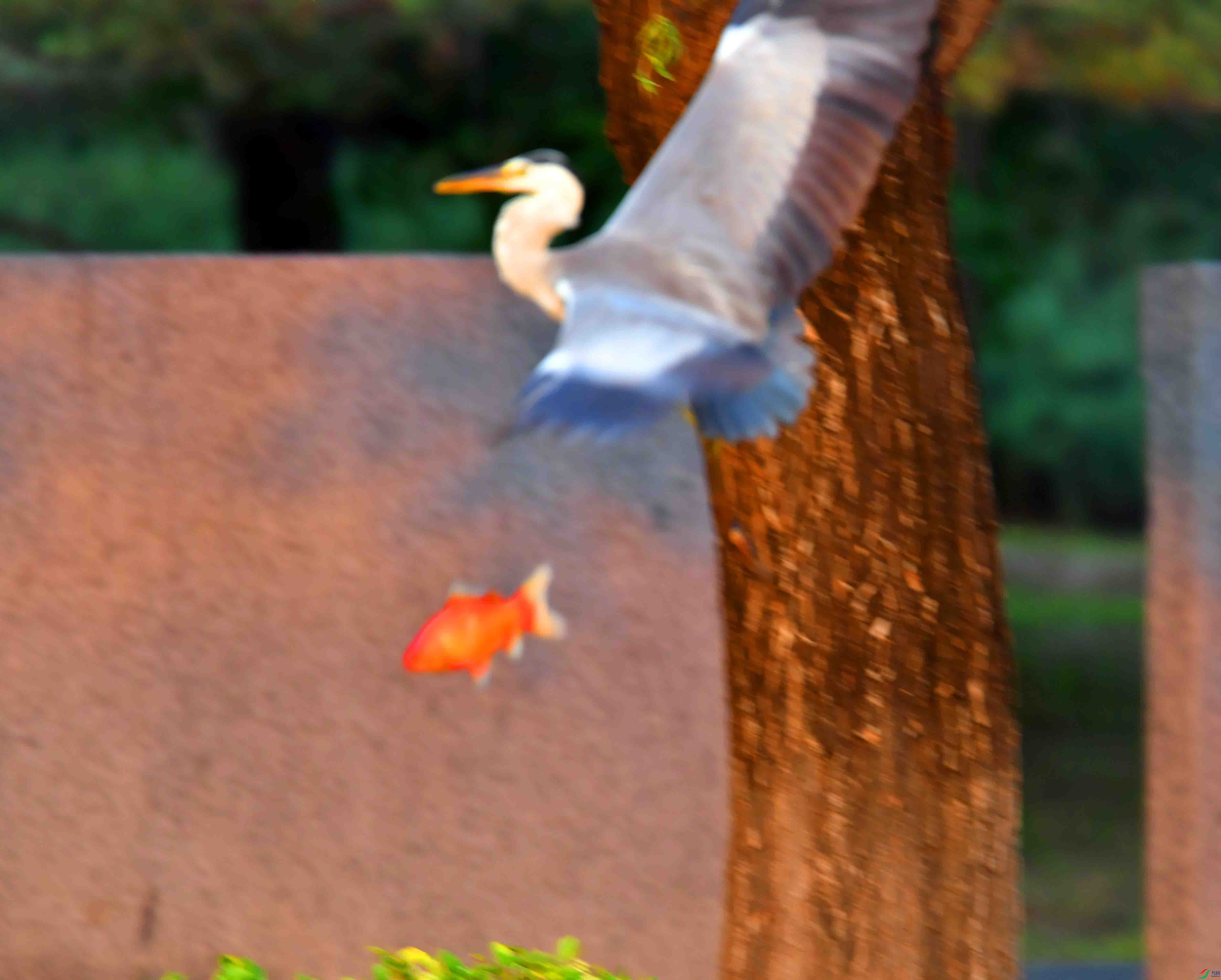 DSC_5127.JPG