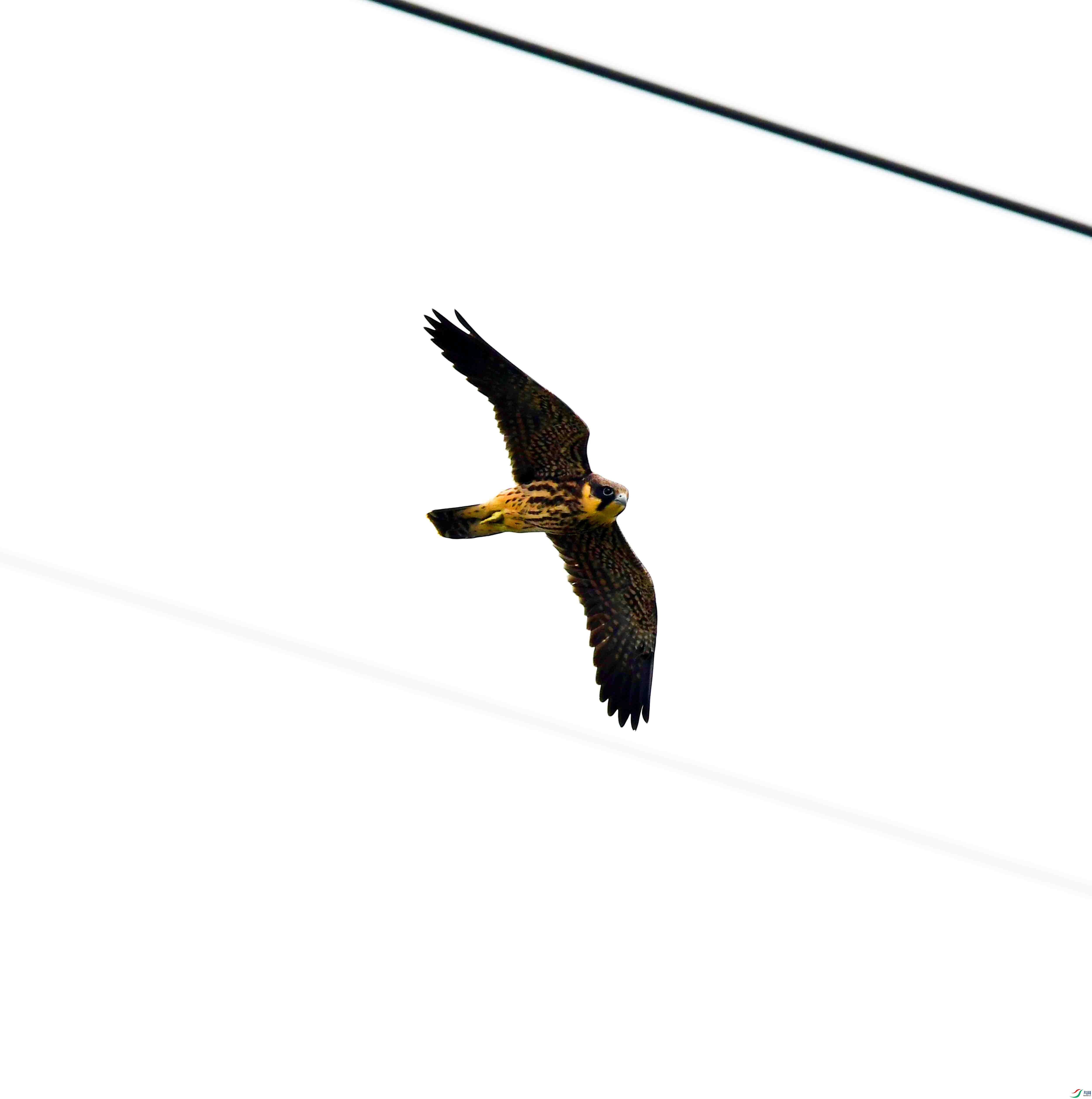 DSC_4826.JPG