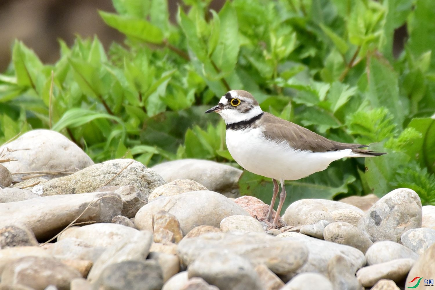 DSC_4016.JPG