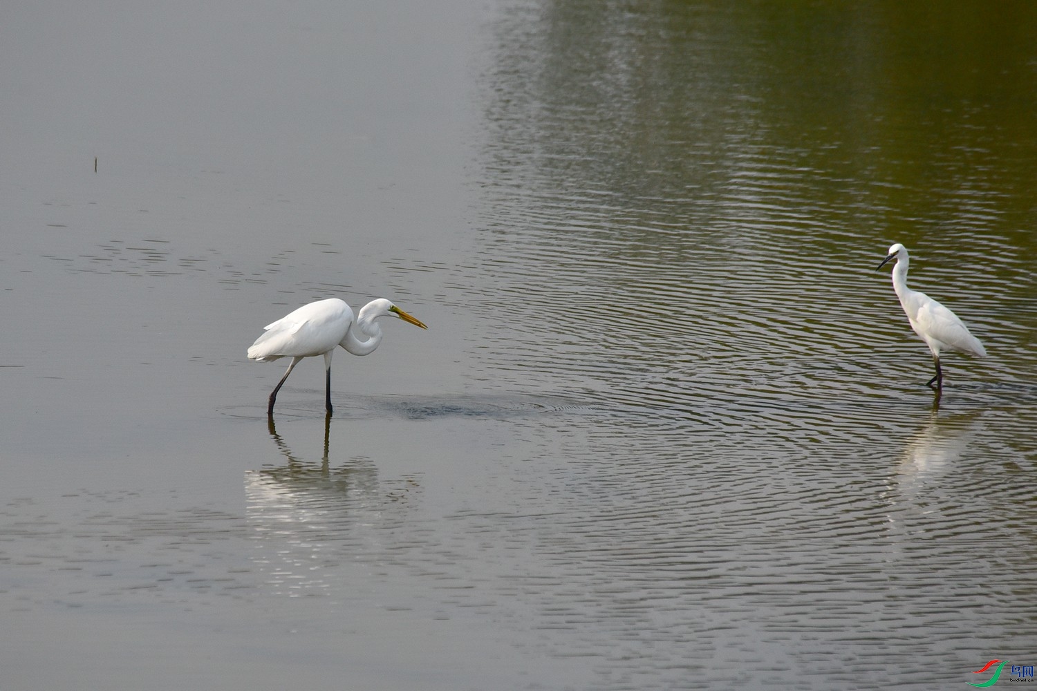DSC_4050.JPG
