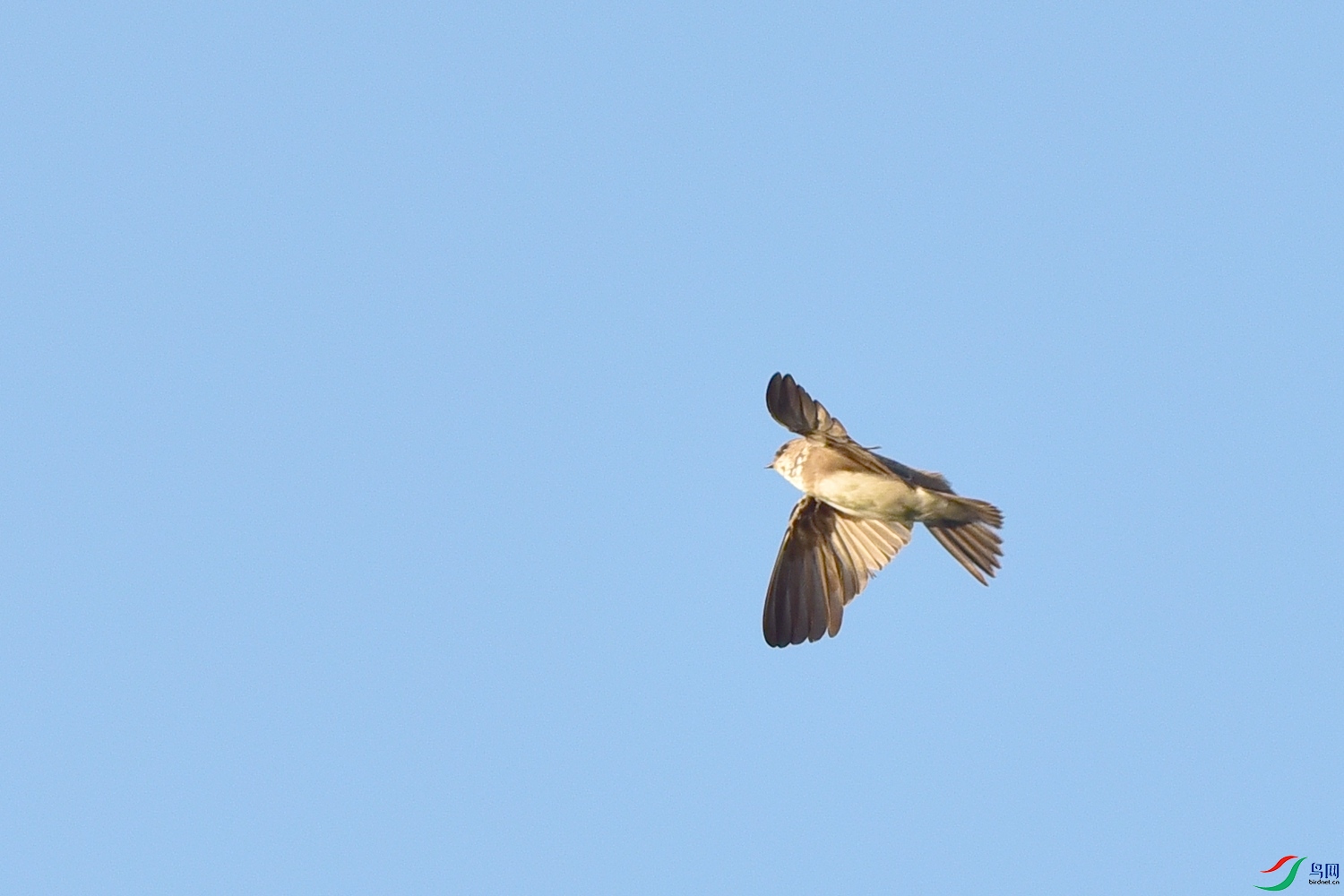 DSC_7667.JPG