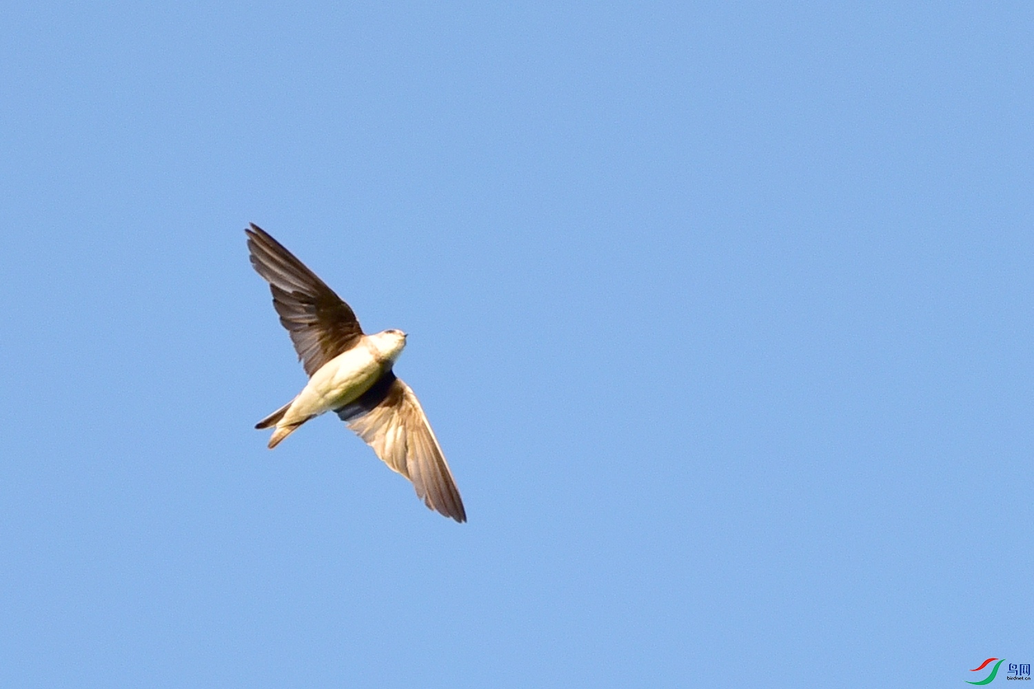 DSC_7669.JPG