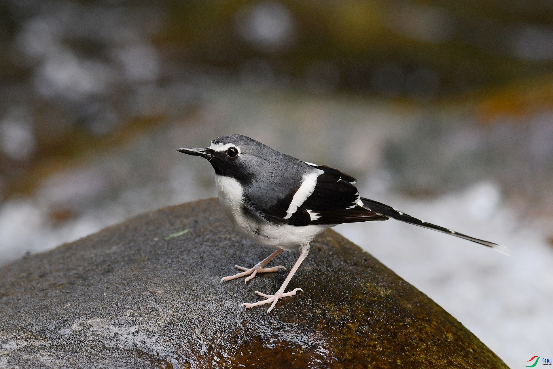 DSC_5455.jpg
