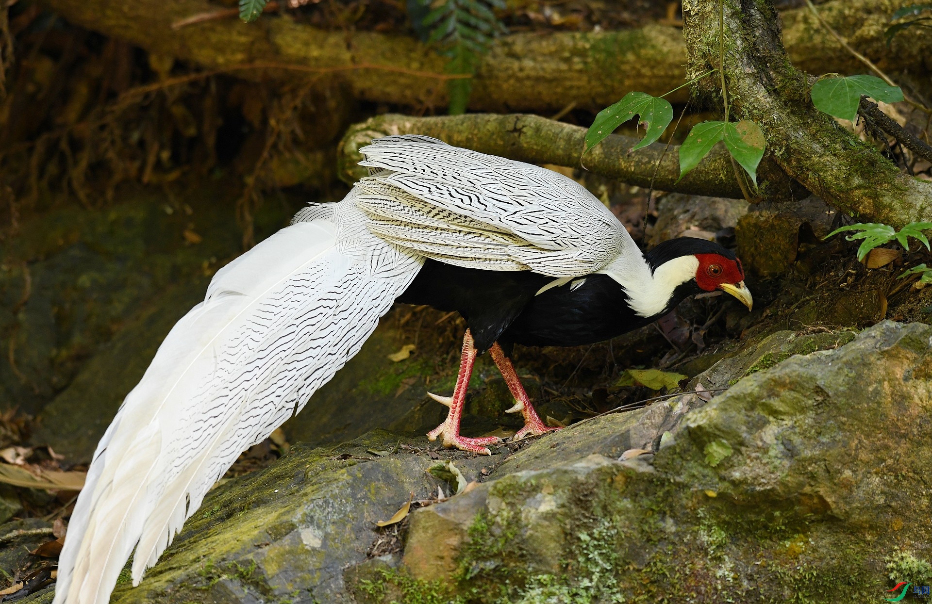 DSC_0377.jpg