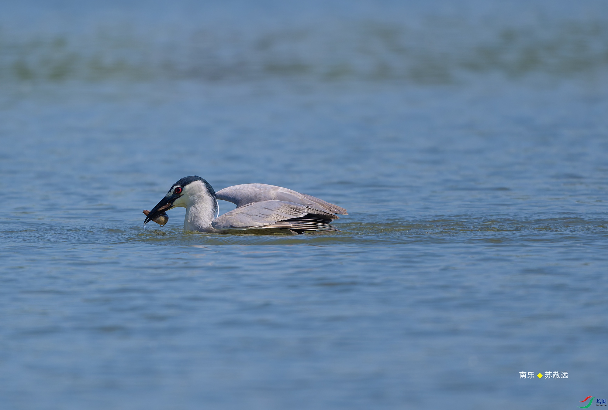 20250511-_DSC5380С.jpg