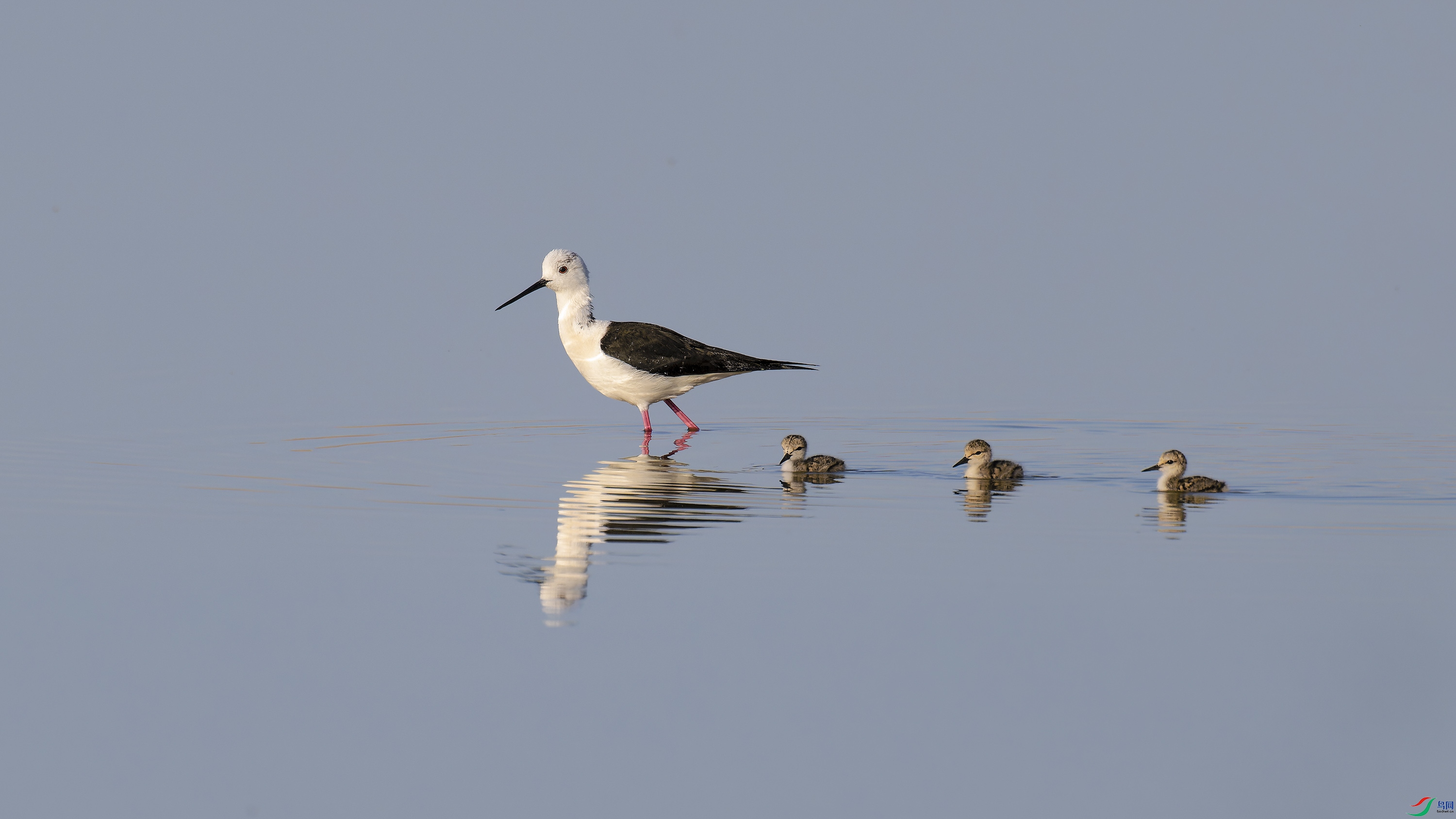DSC_4467_DxO.jpg