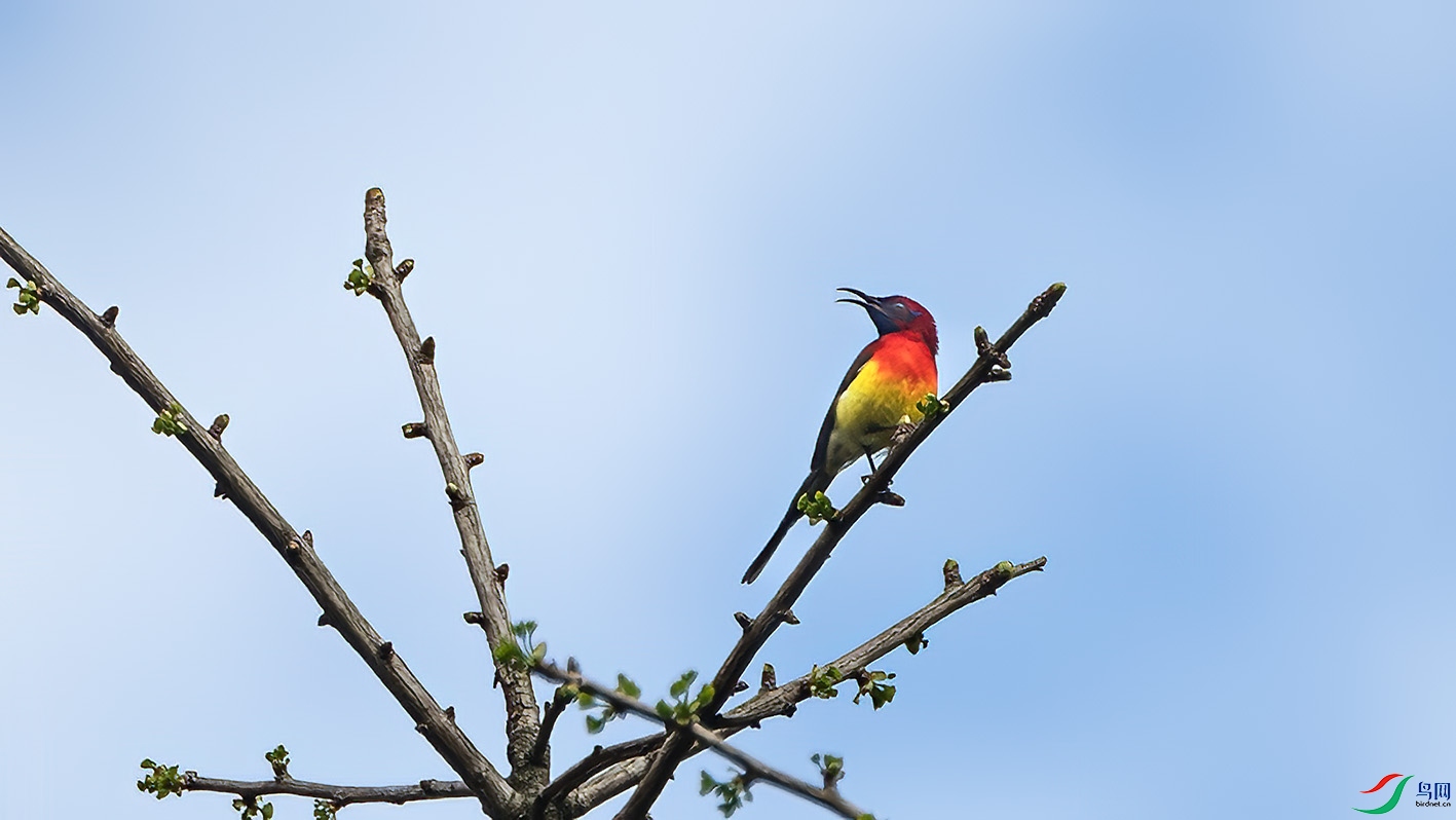 _DSC3489-����ǿ-NR-1 ����.jpg