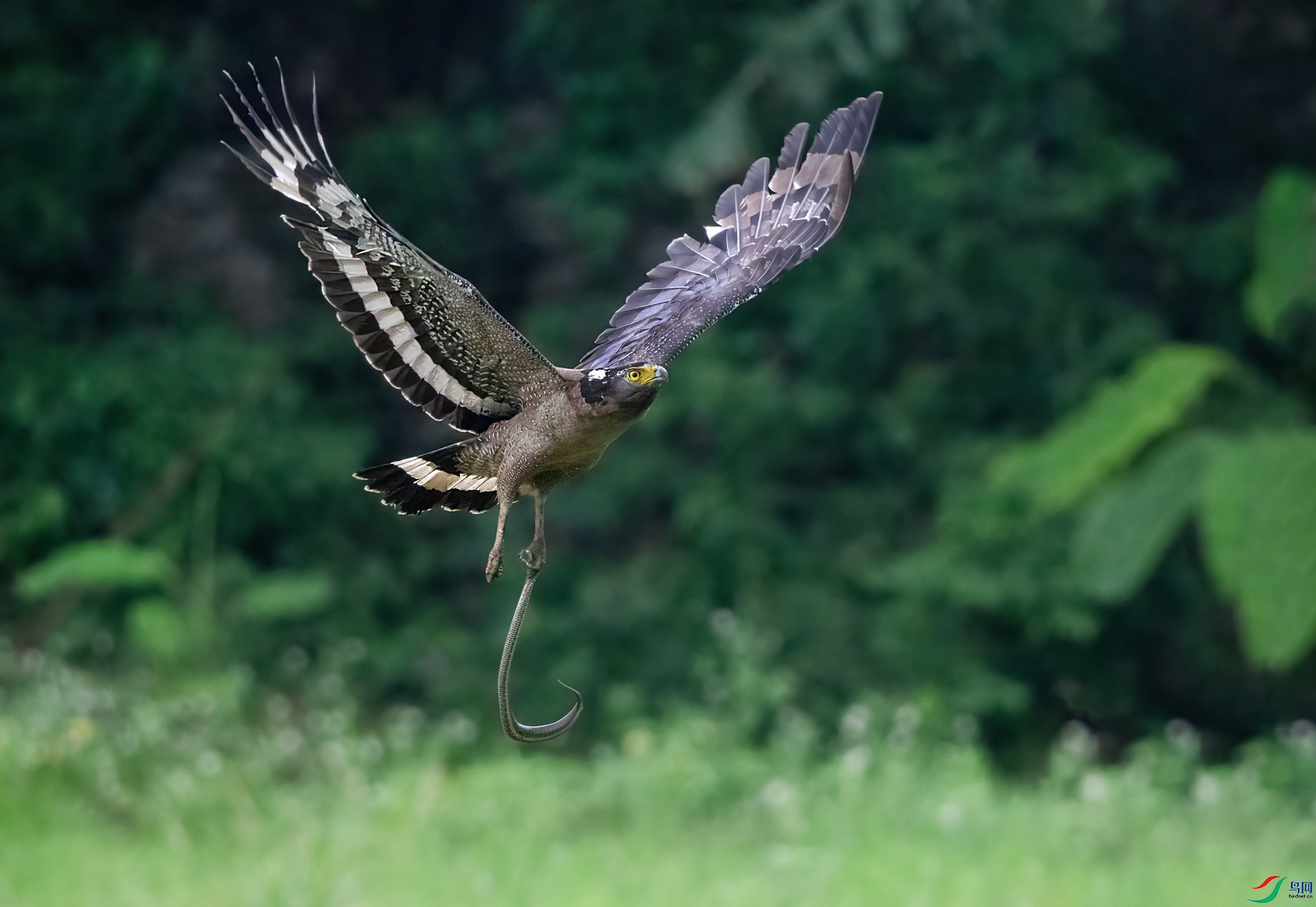 DSC02255 a_����.jpg