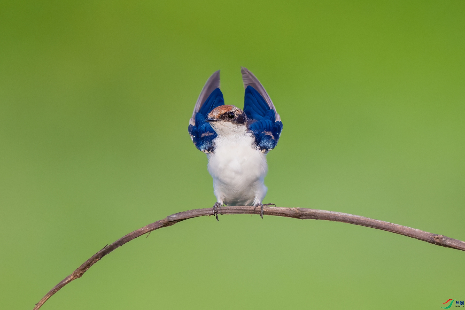 DSC_9807.jpg