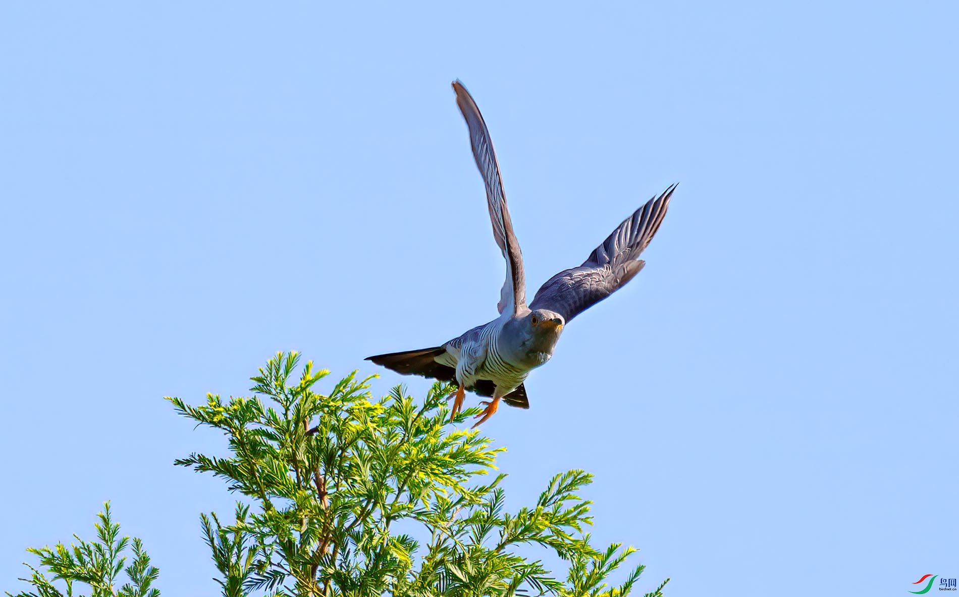 �ž������֦ͷ