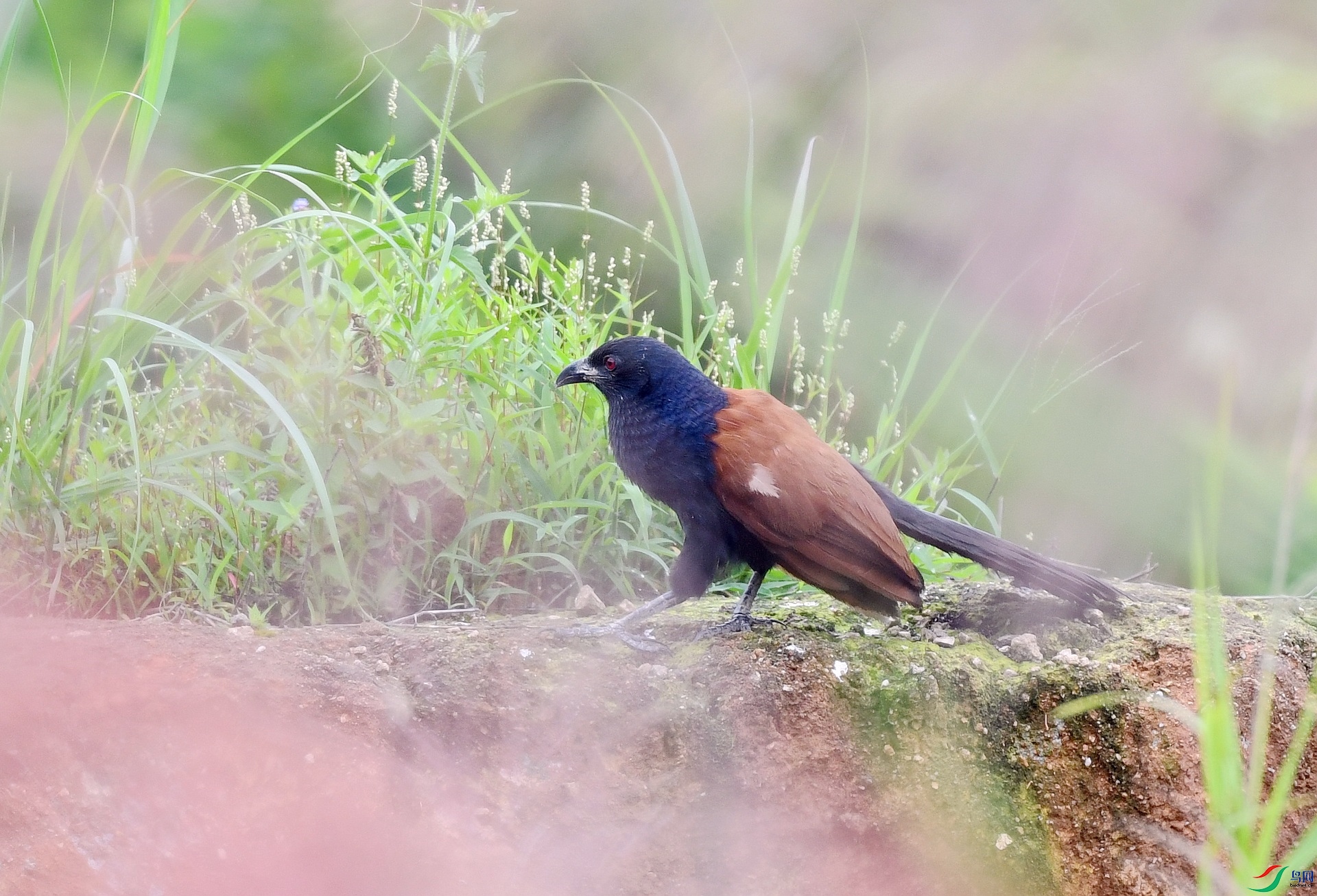 DSC_5739.jpg