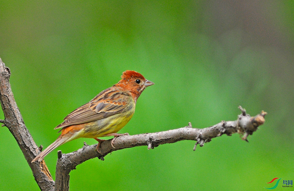 DSC_0316.jpg