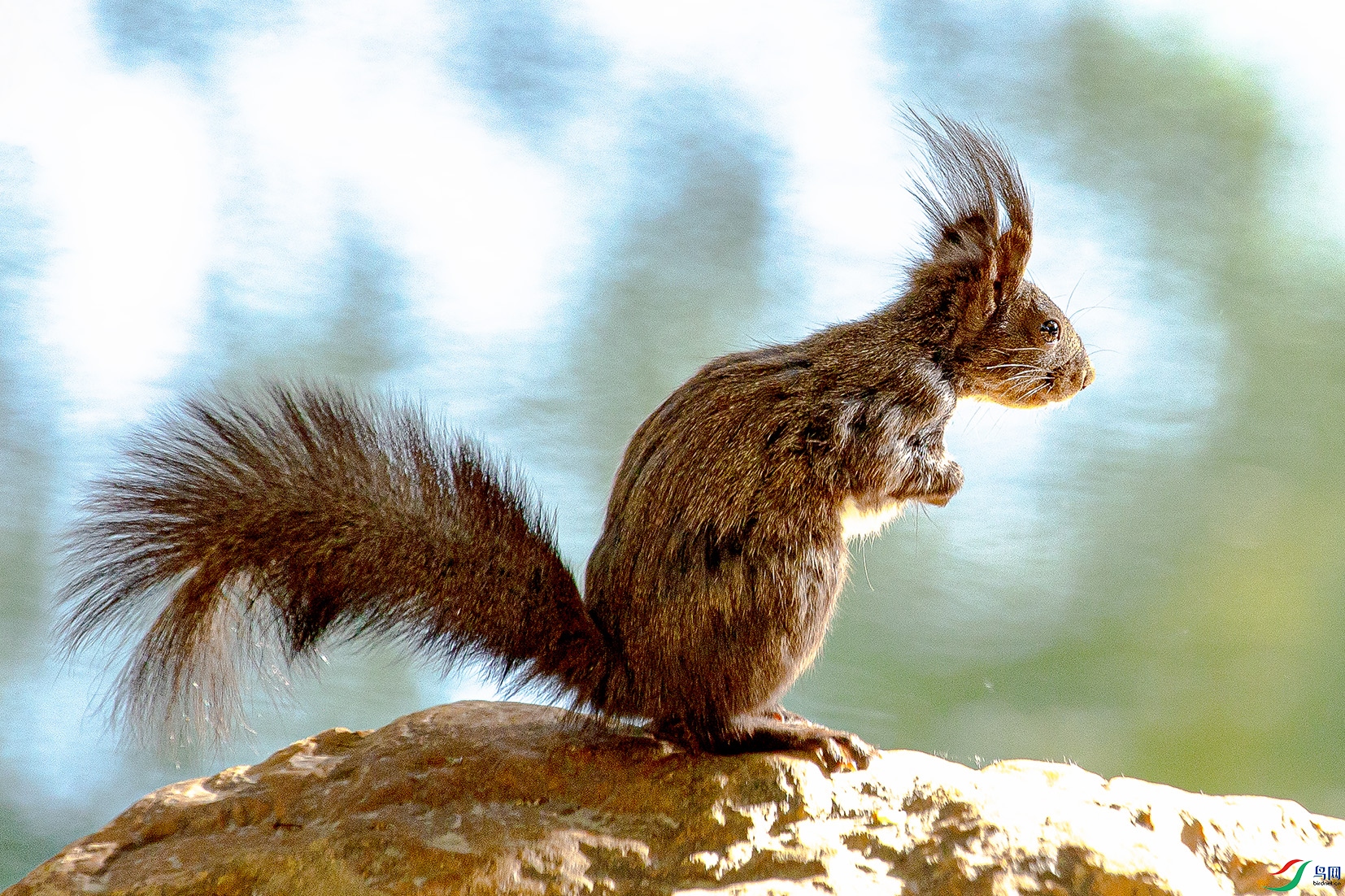 _MG_2149 ����.jpg