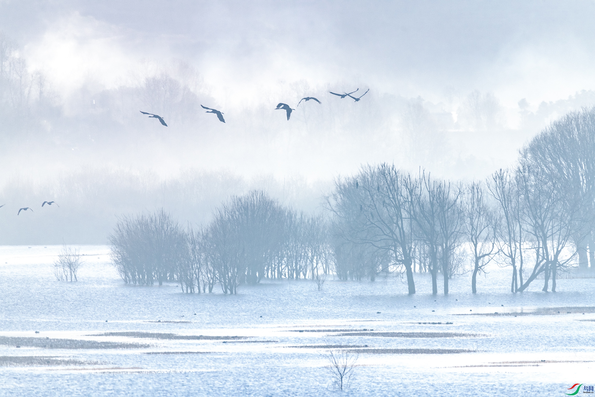 DSC_0488a.jpg