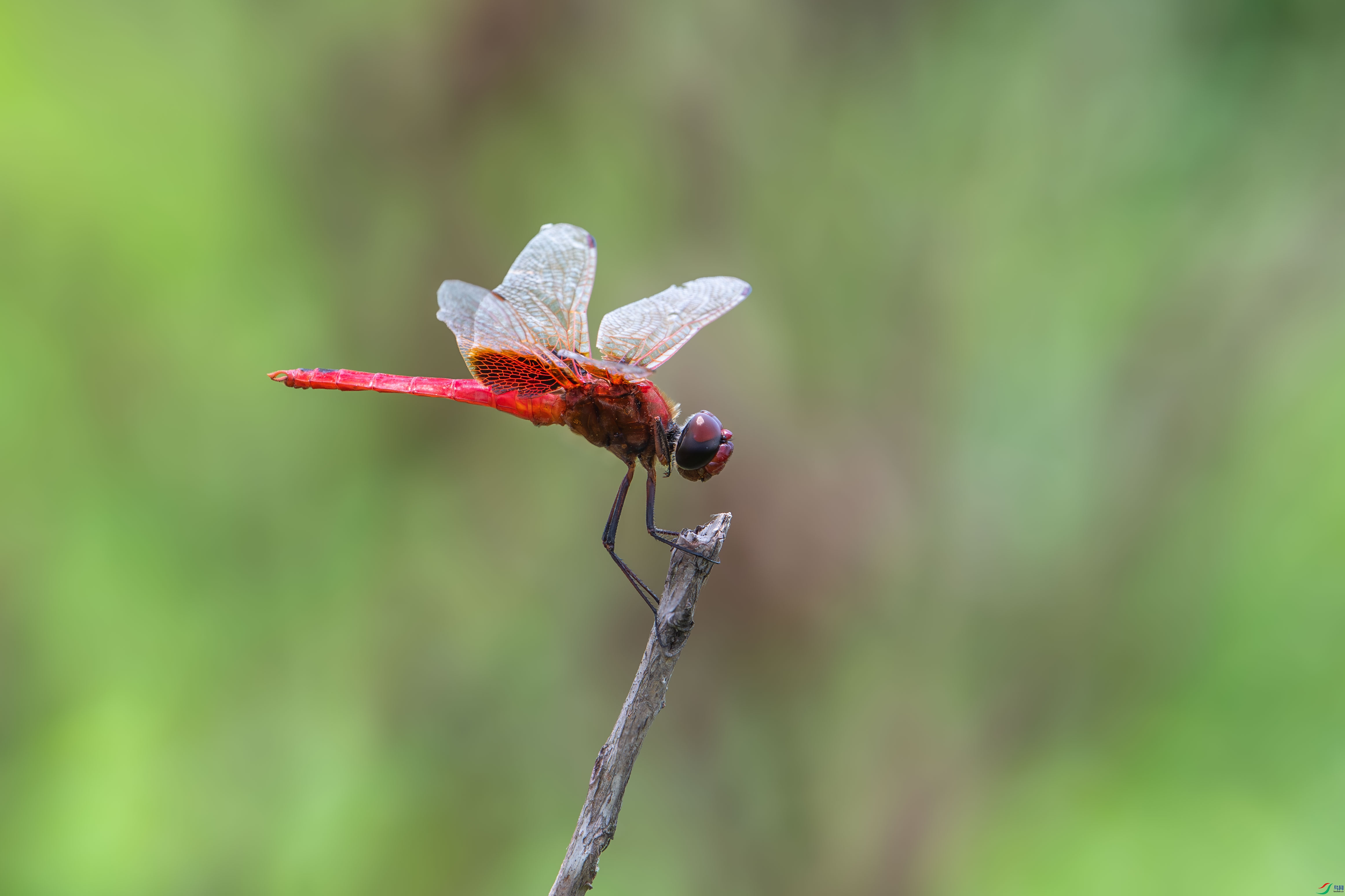 DSC_5135.jpg