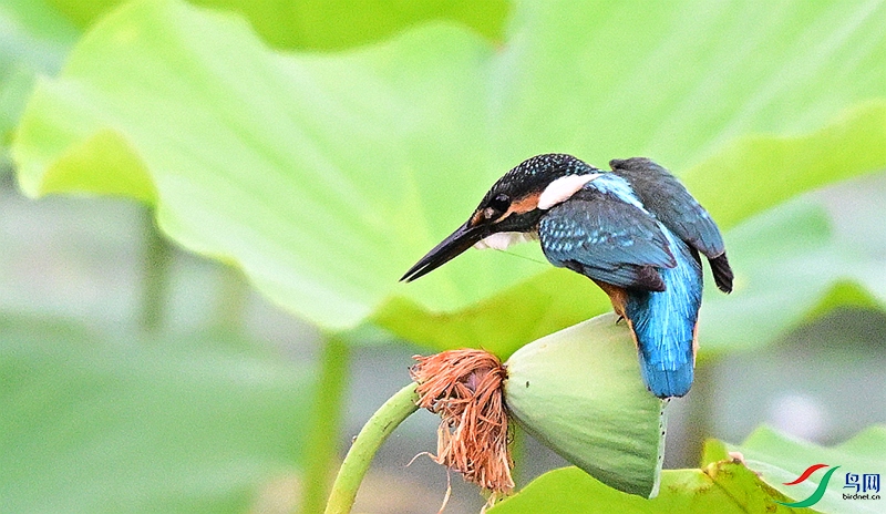 DSC_2504.JPG