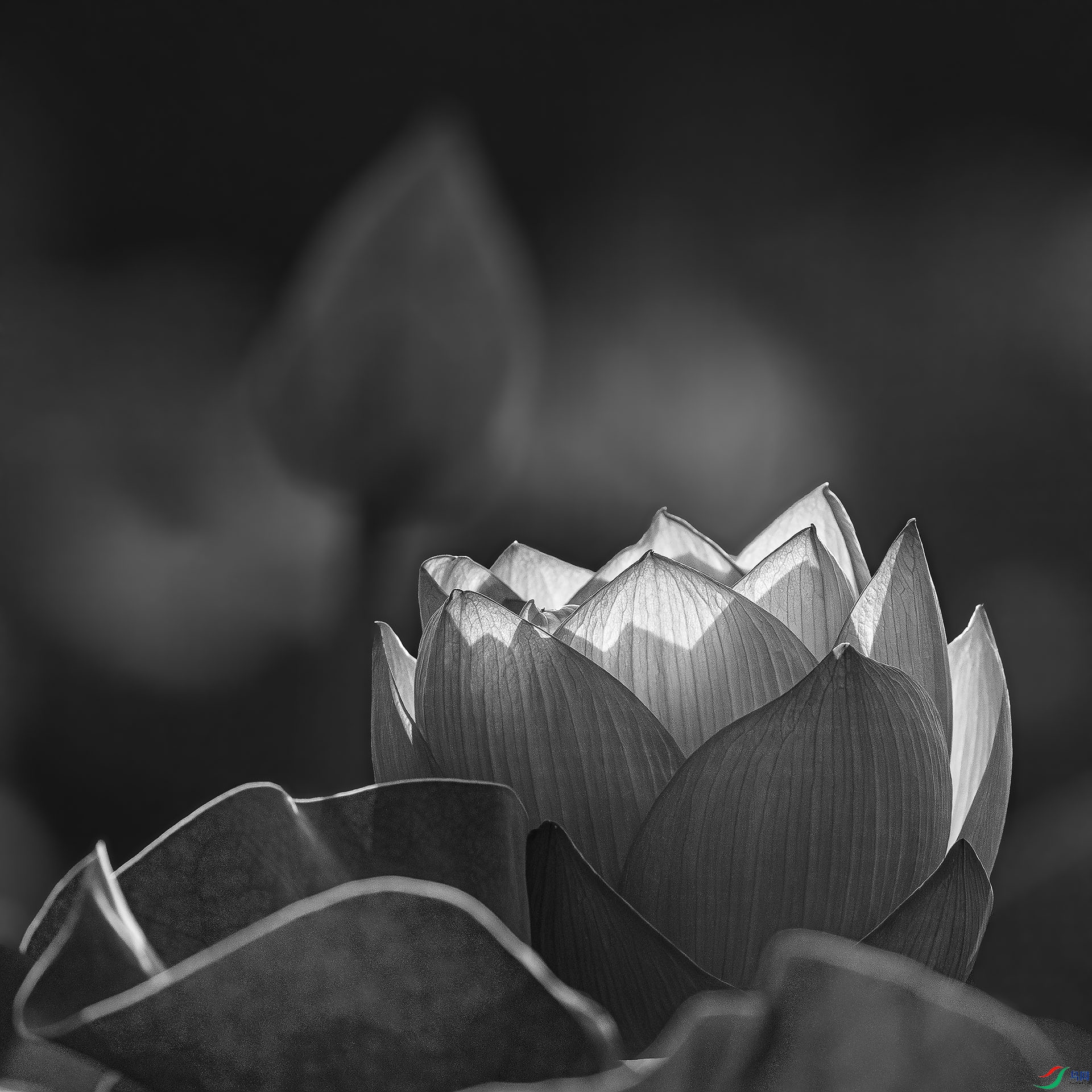 0701��.jpg