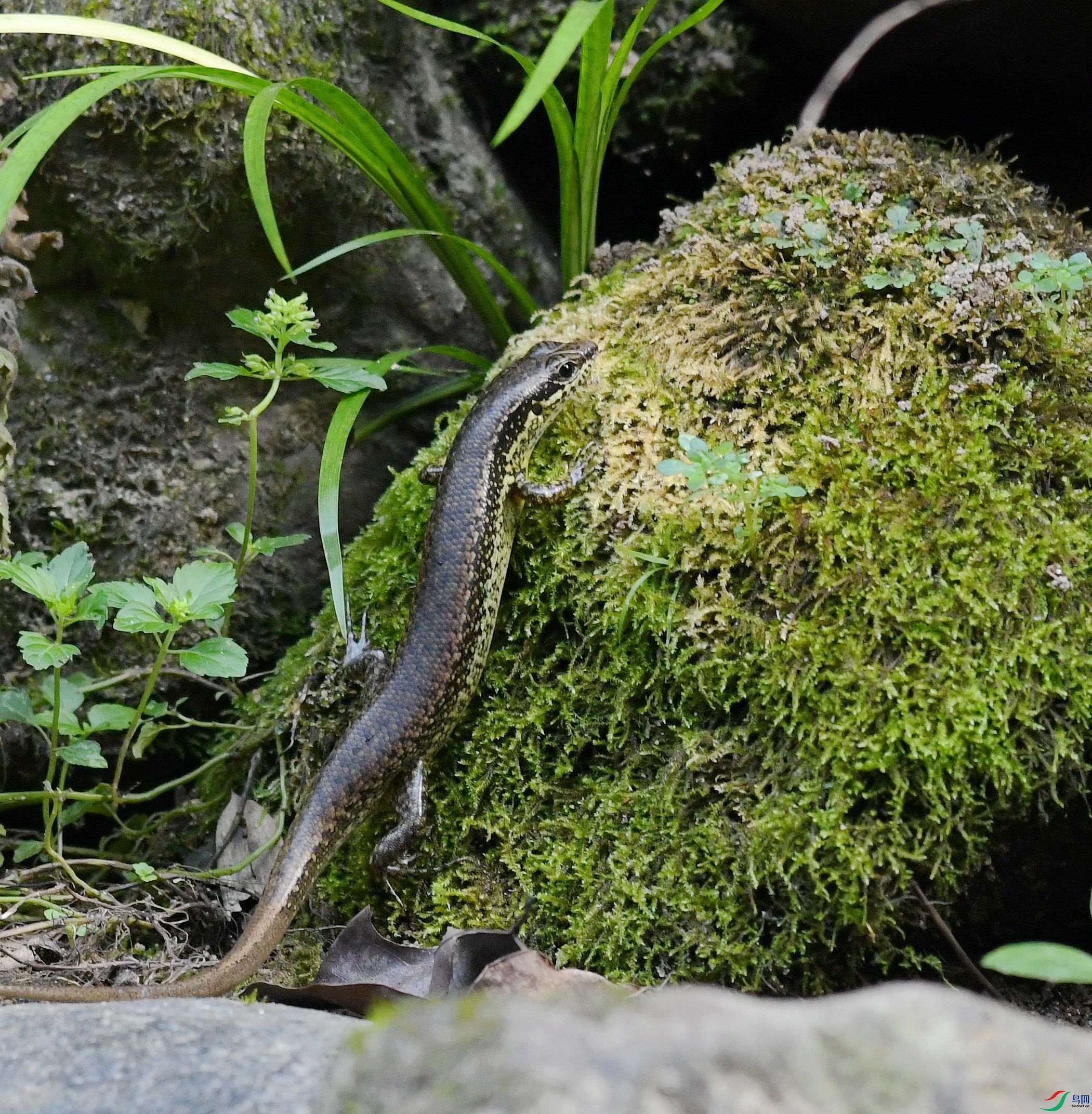 DSC_8076.jpg