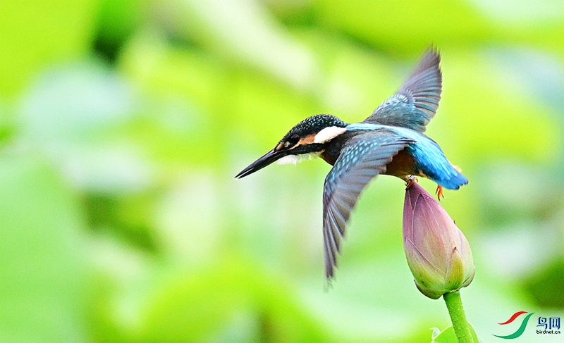 DSC_3272.JPG