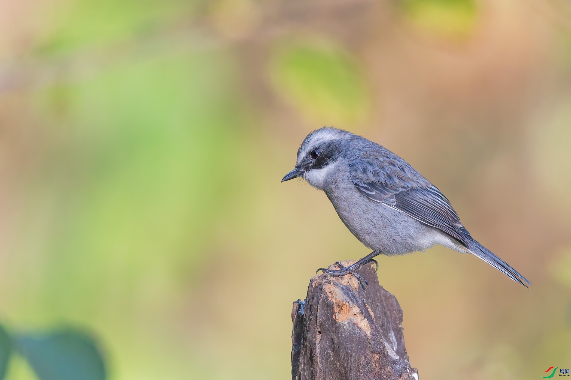 AQ4P0771-1.jpg