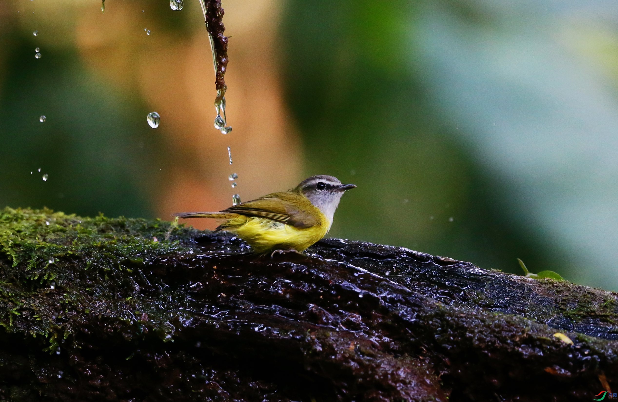 �Ƹ��lݺ (18).JPG